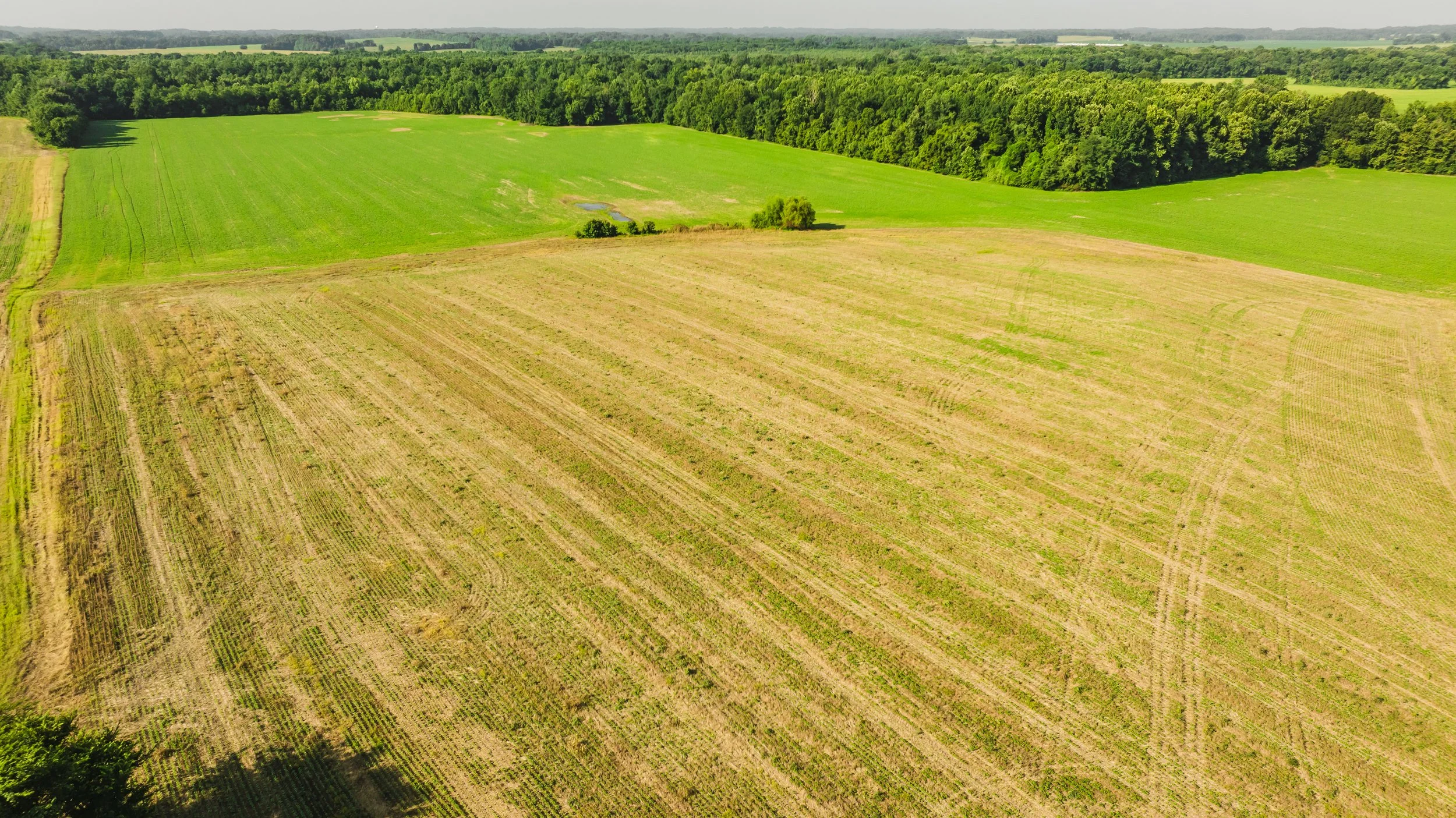DJI_20250729084815_0013_D.jpg