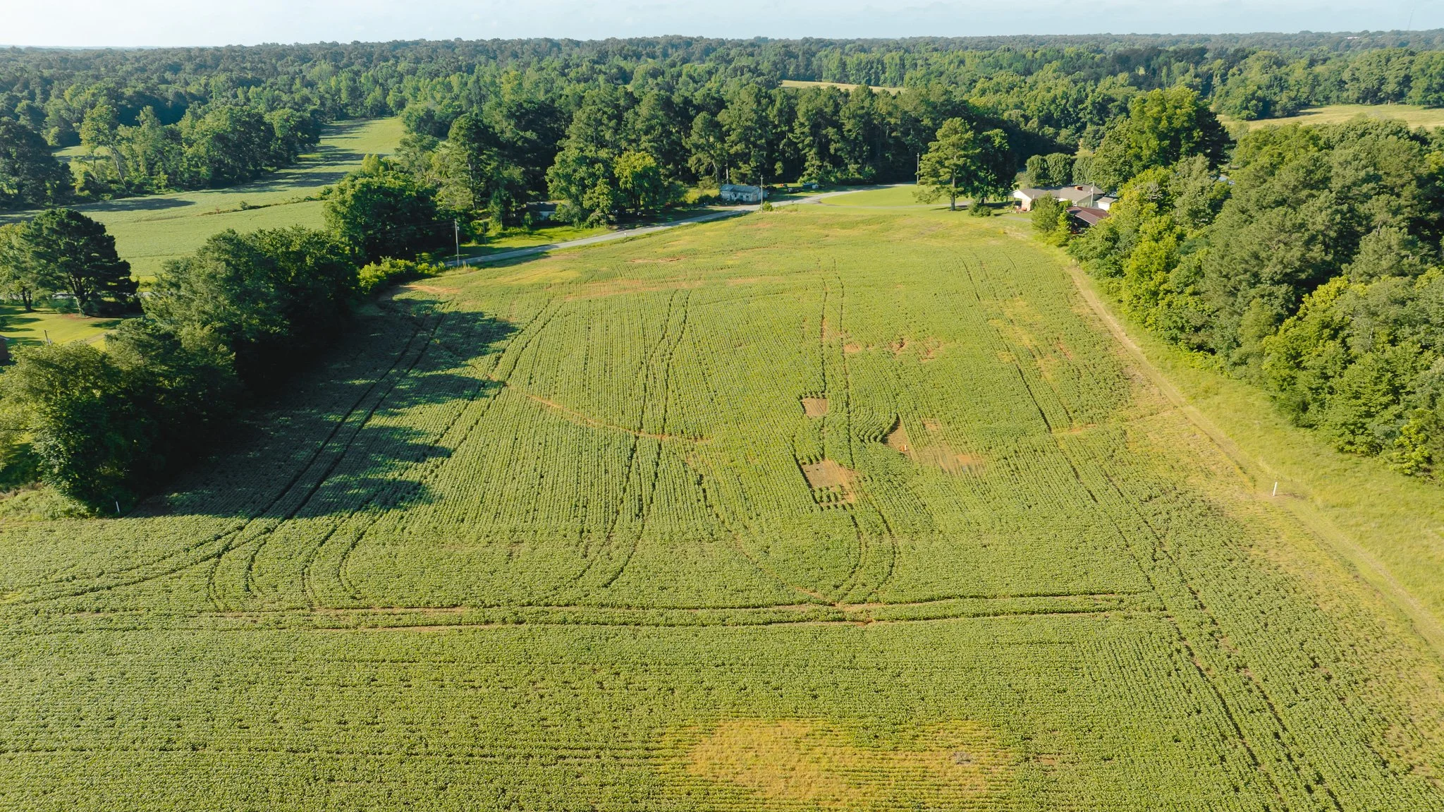 DJI_20260621152957_0049_D.jpg