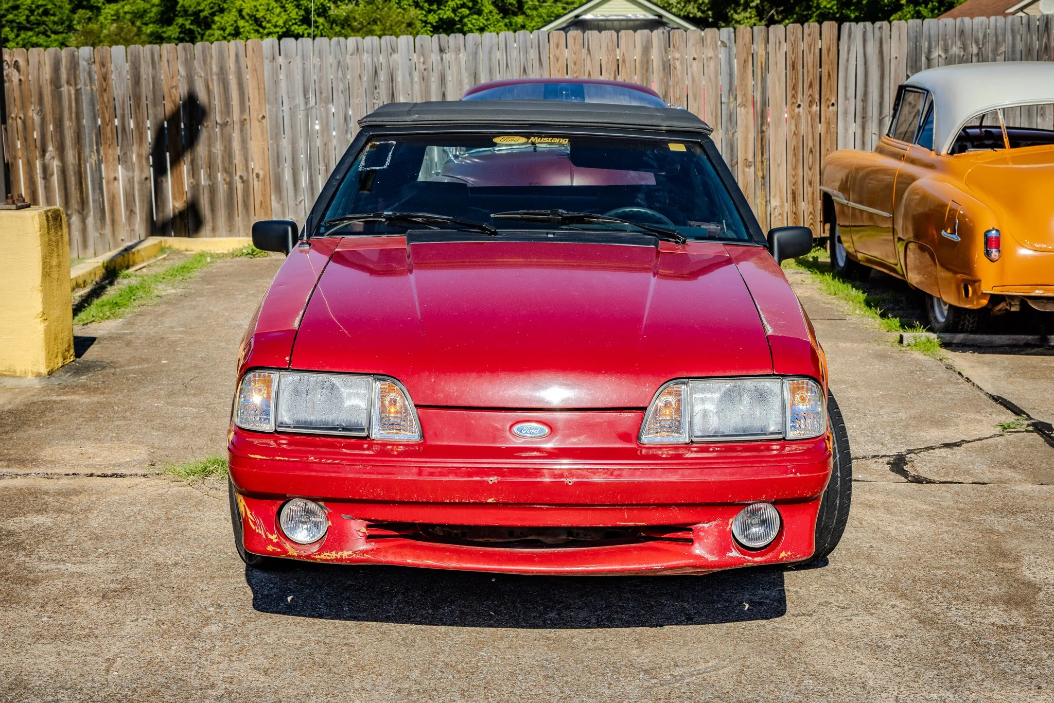 FT8A9584.jpg
