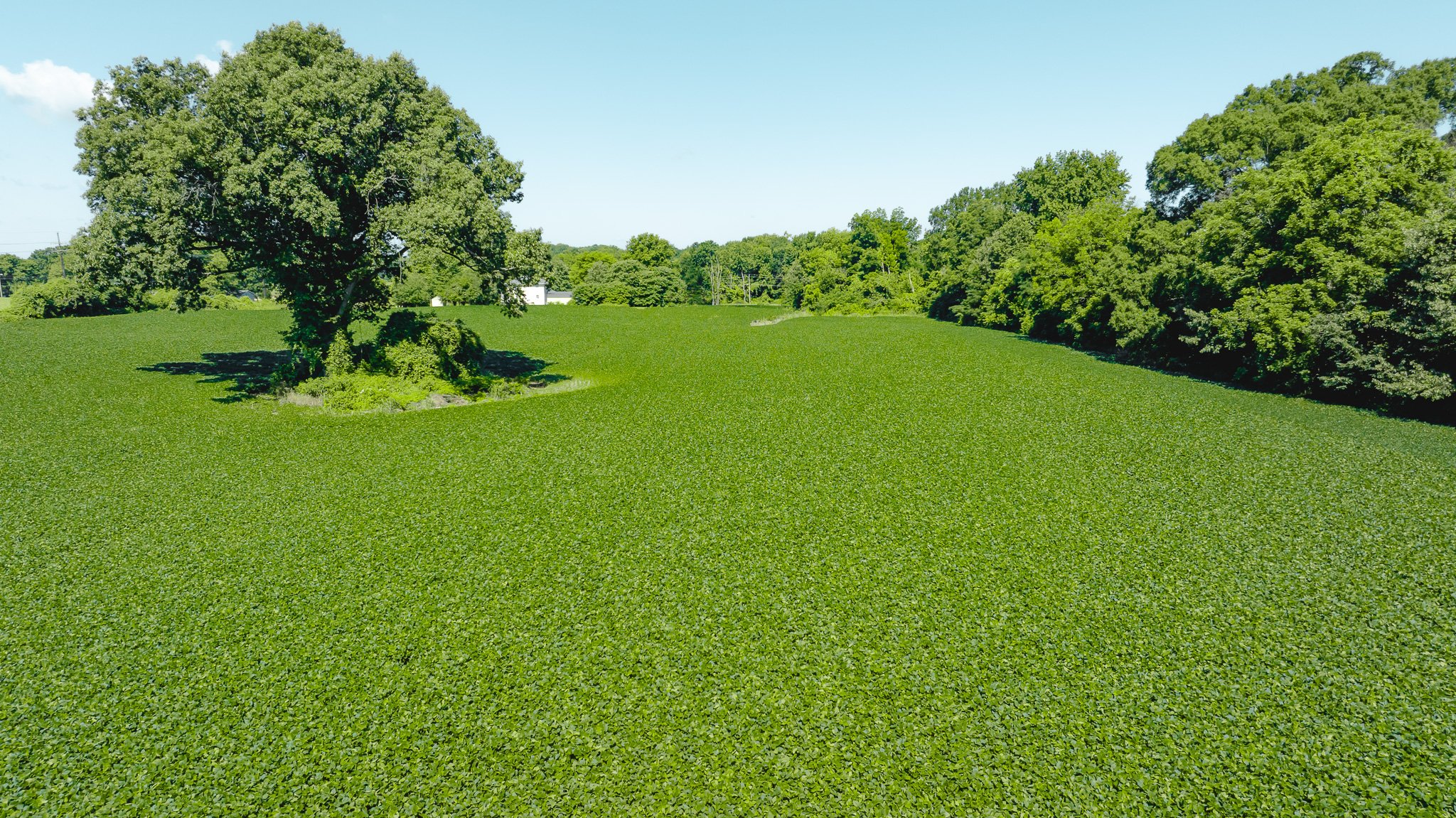DJI_20260614170050_0007_D.jpg