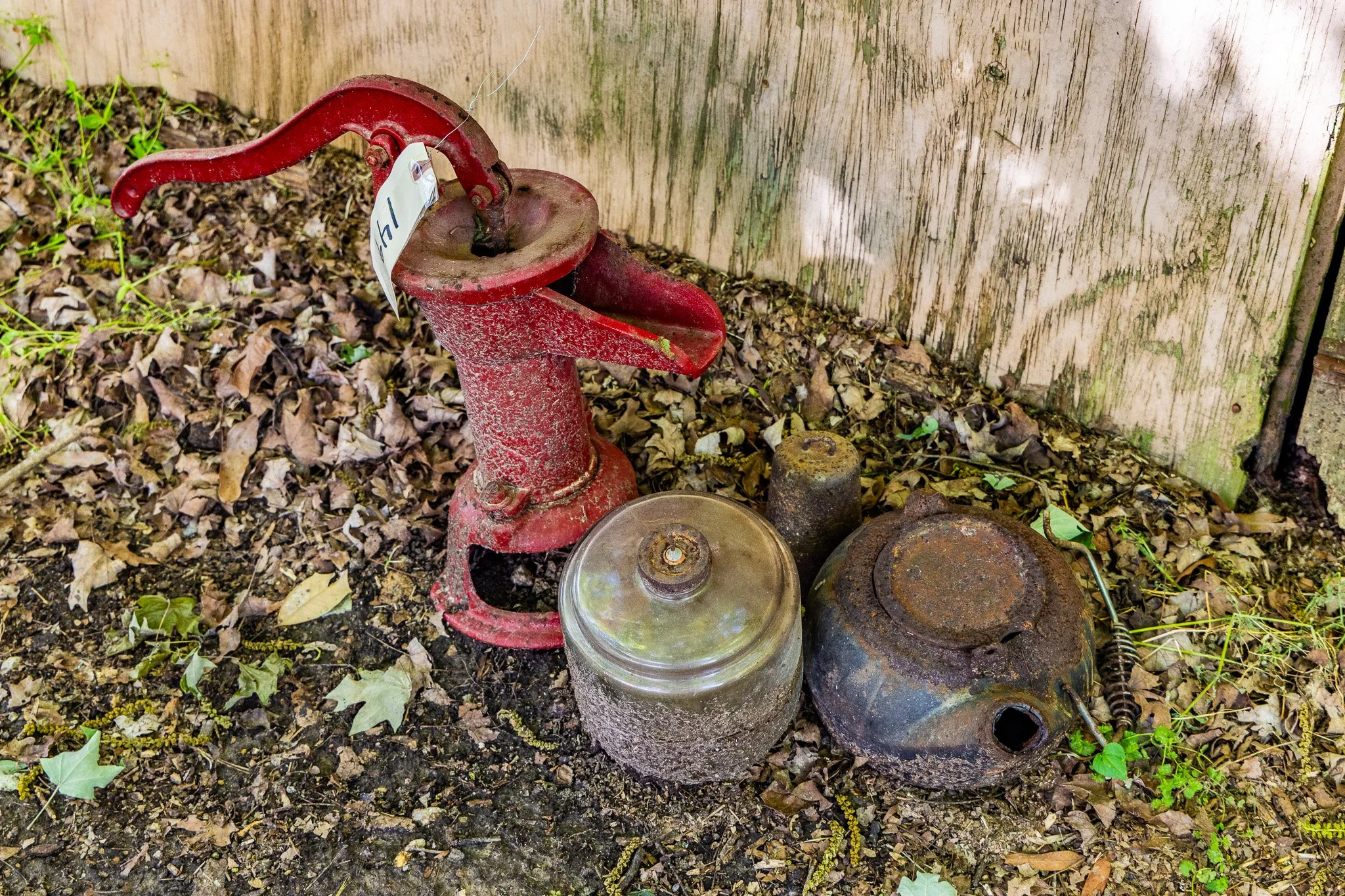 FT8A0301.jpg