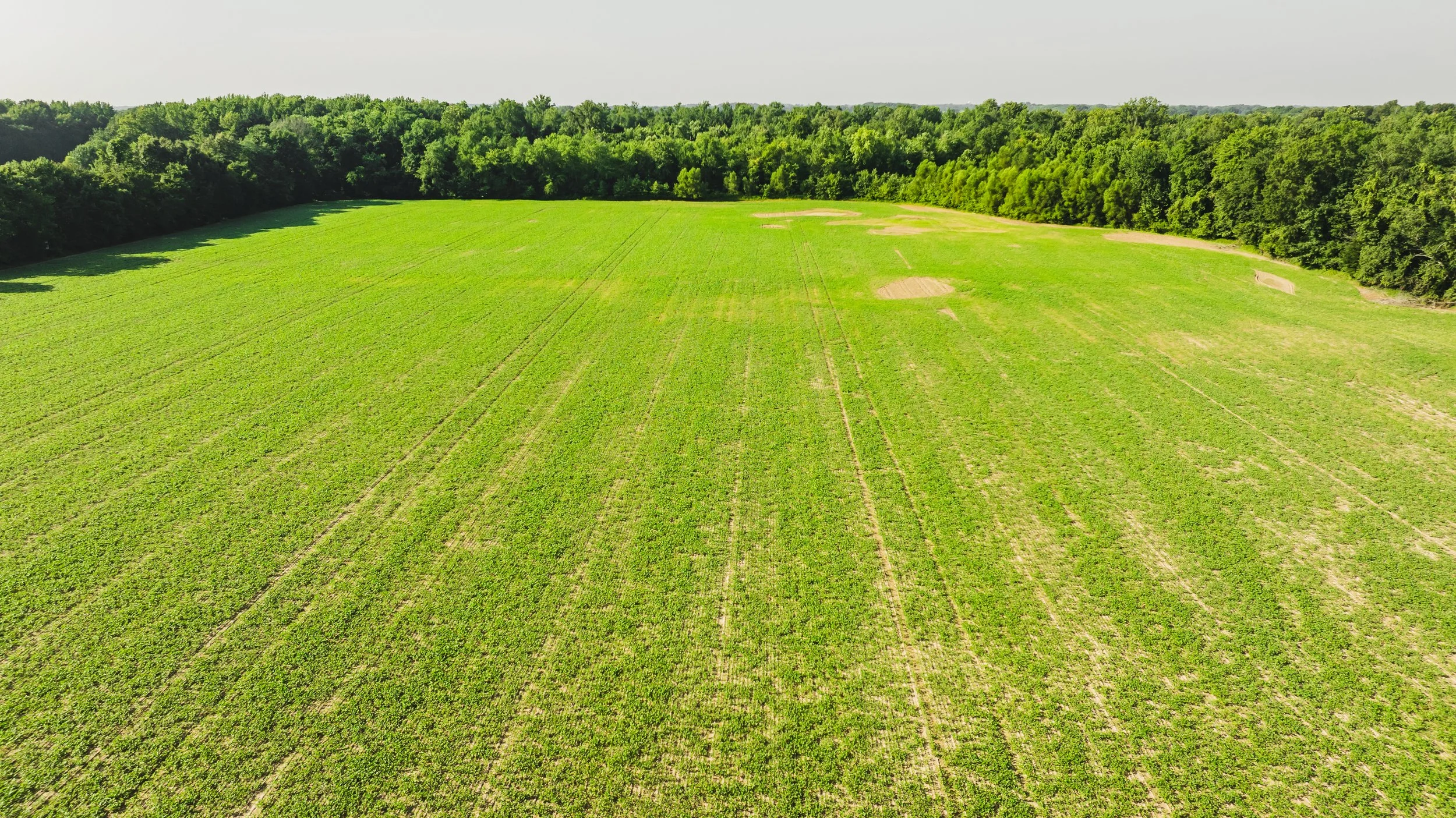 DJI_20250729090003_0035_D.jpg