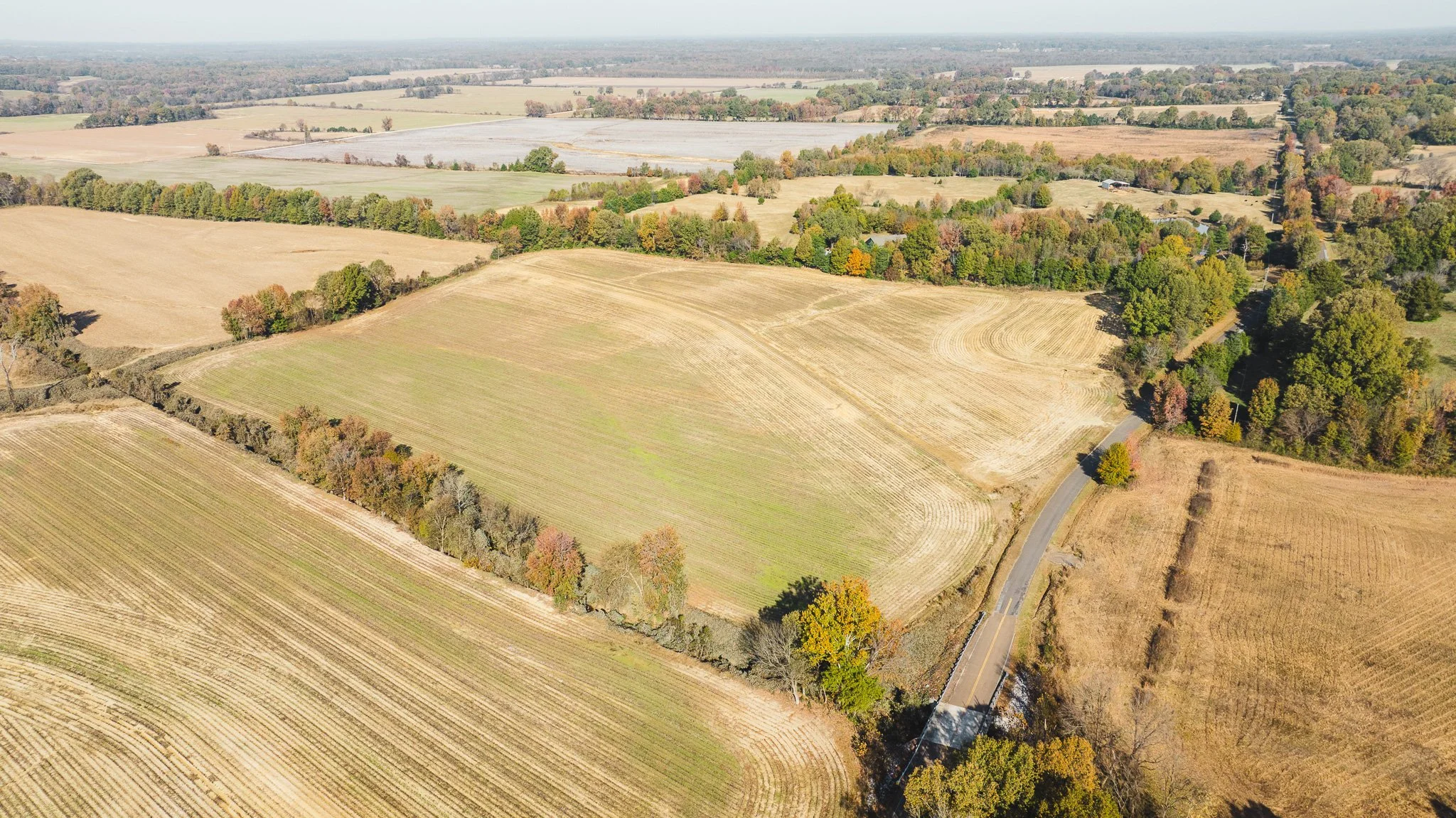 DJI_20251113095637_0012_D.jpg