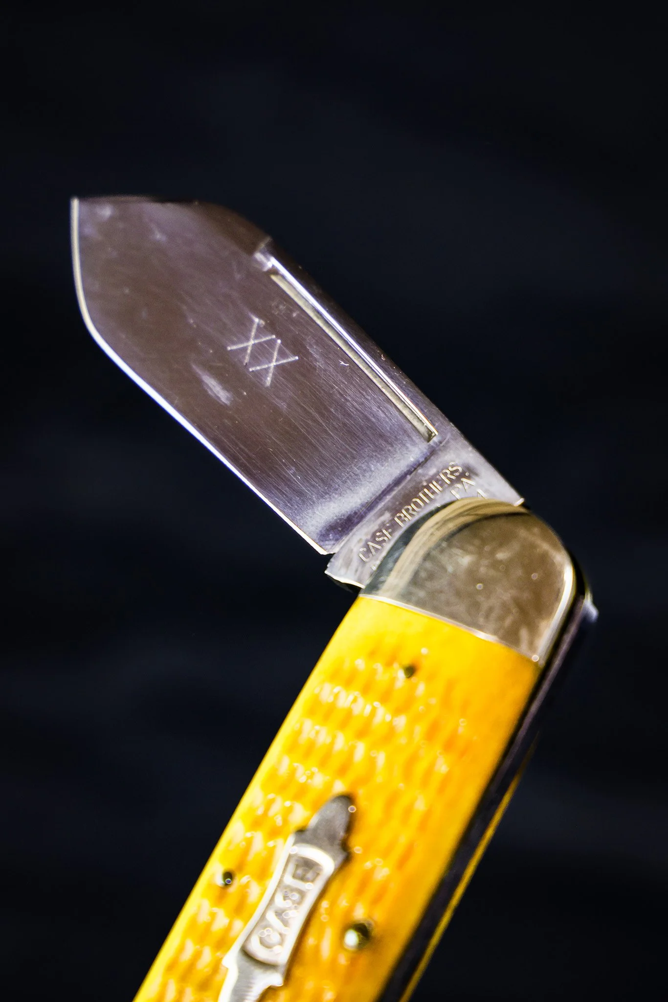 0F7A8495.jpg