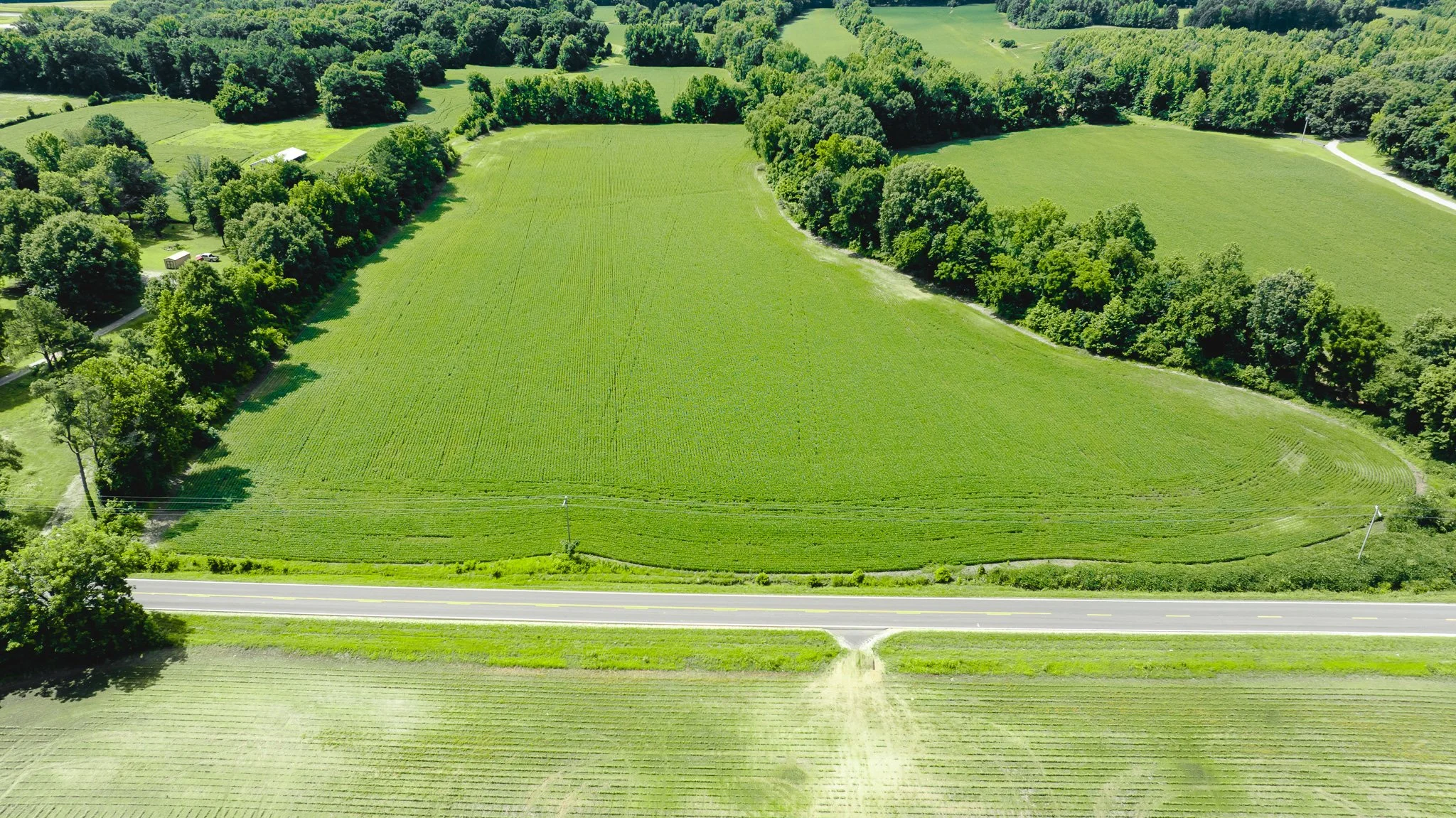 DJI_20260613180233_0003_D.jpg