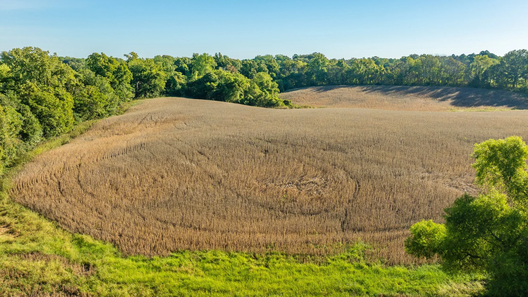 DJI_20251010092402_0022_D.jpg