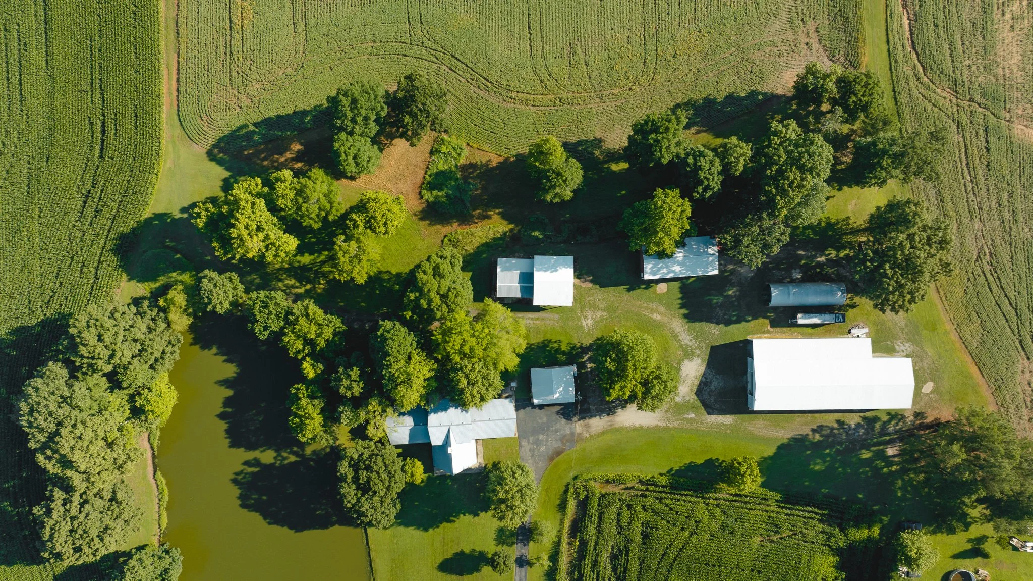 DJI_20260621152038_0034_D.jpg