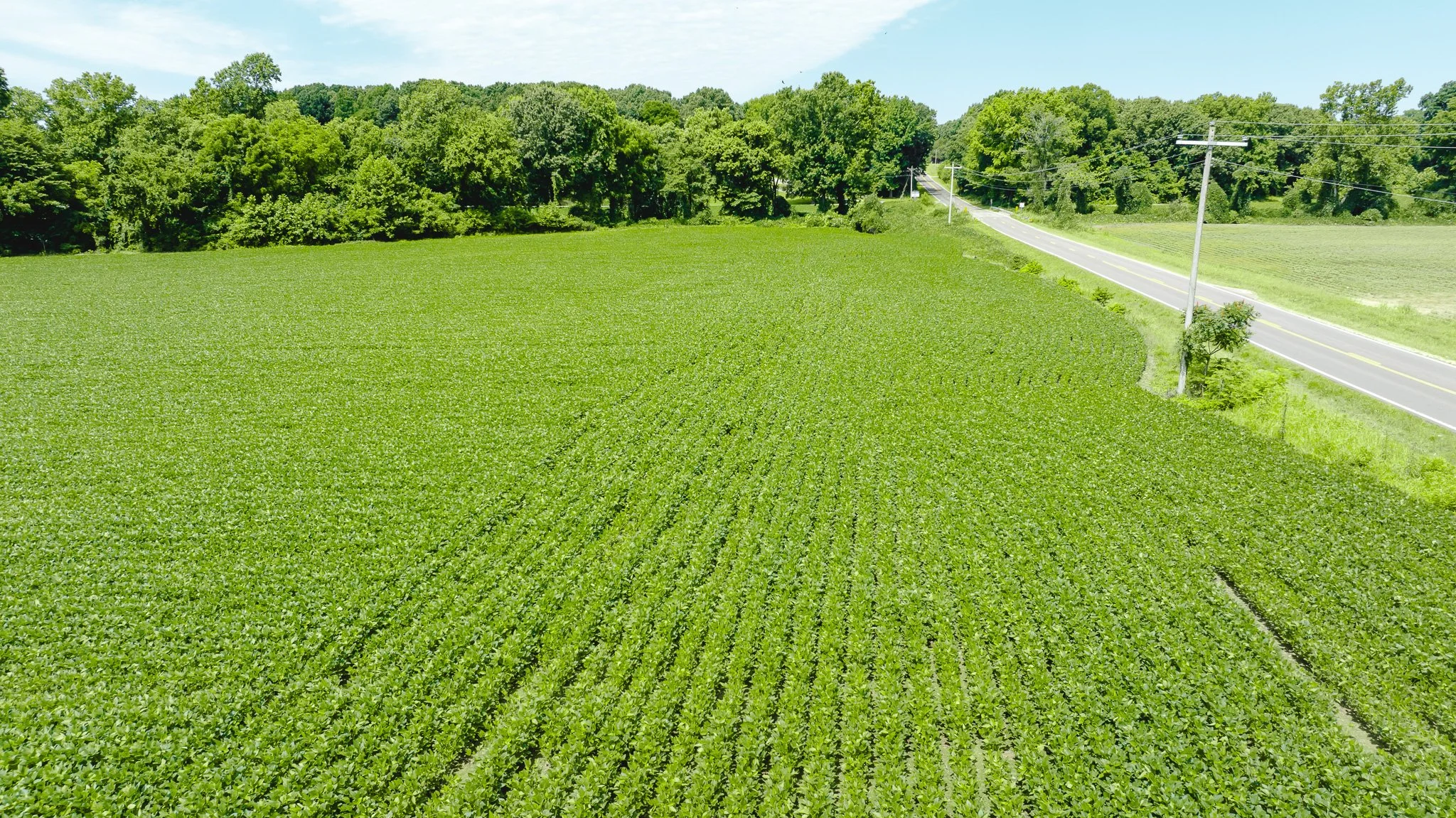 DJI_20260613180540_0012_D.jpg