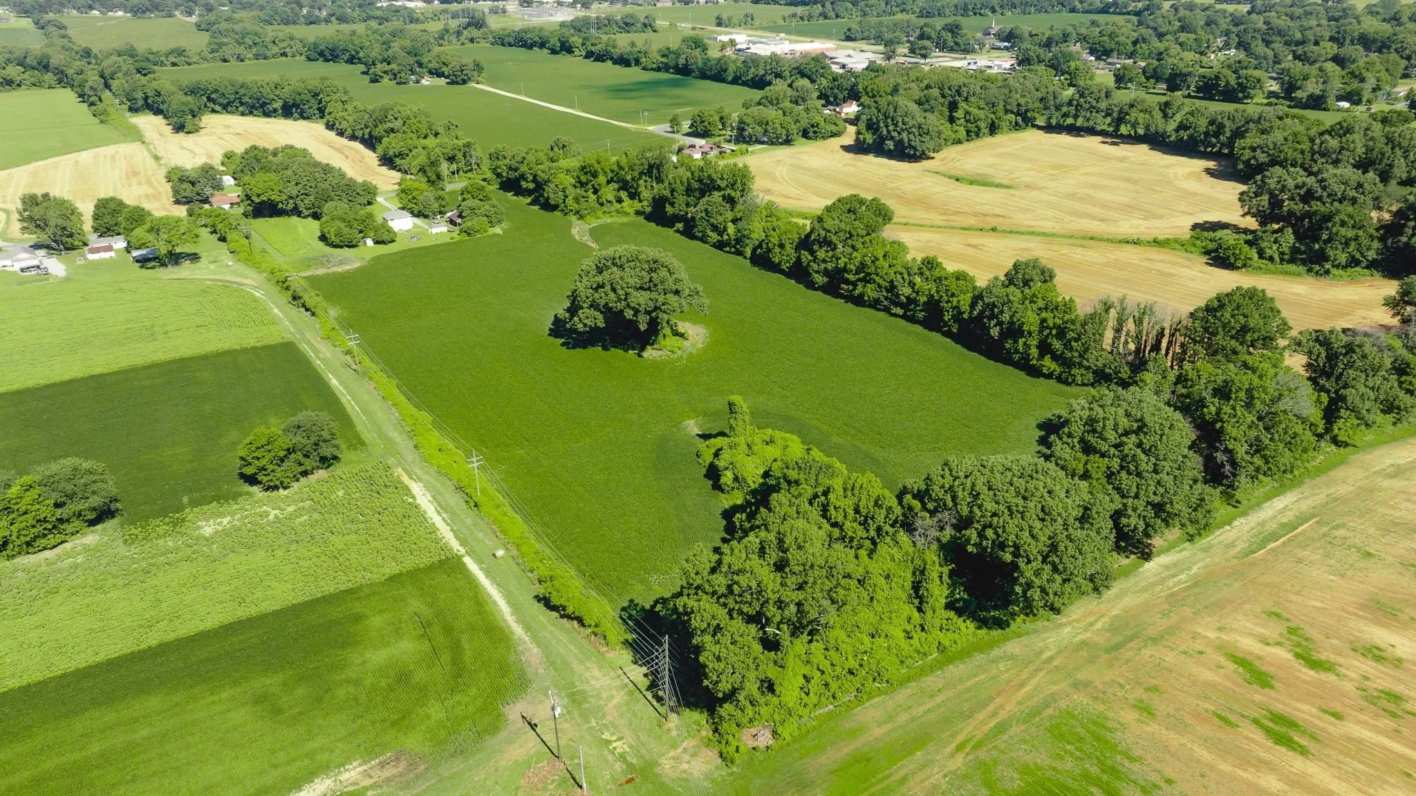 DJI_20260614165903_0004_D.jpg