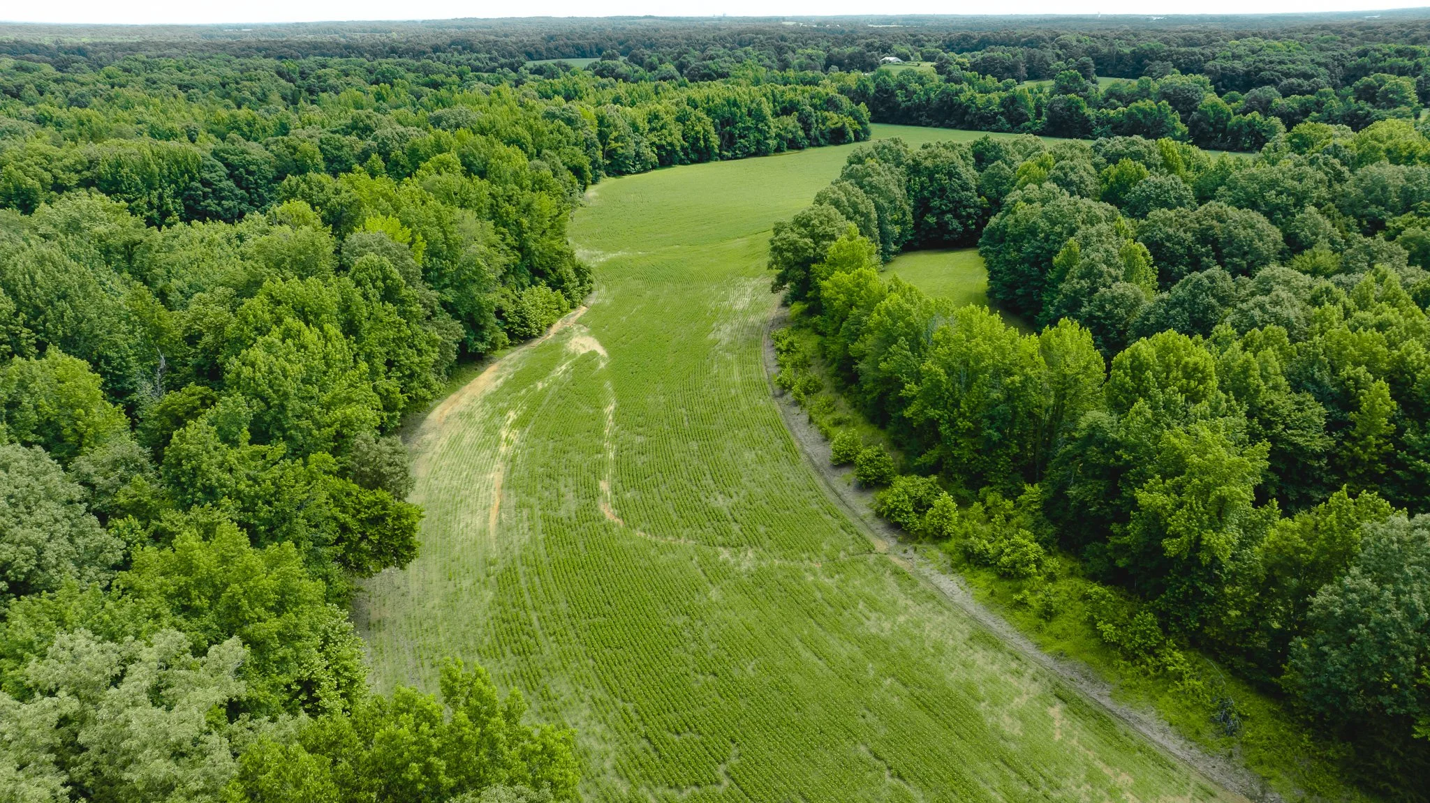 DJI_20260613181644_0035_D.jpg