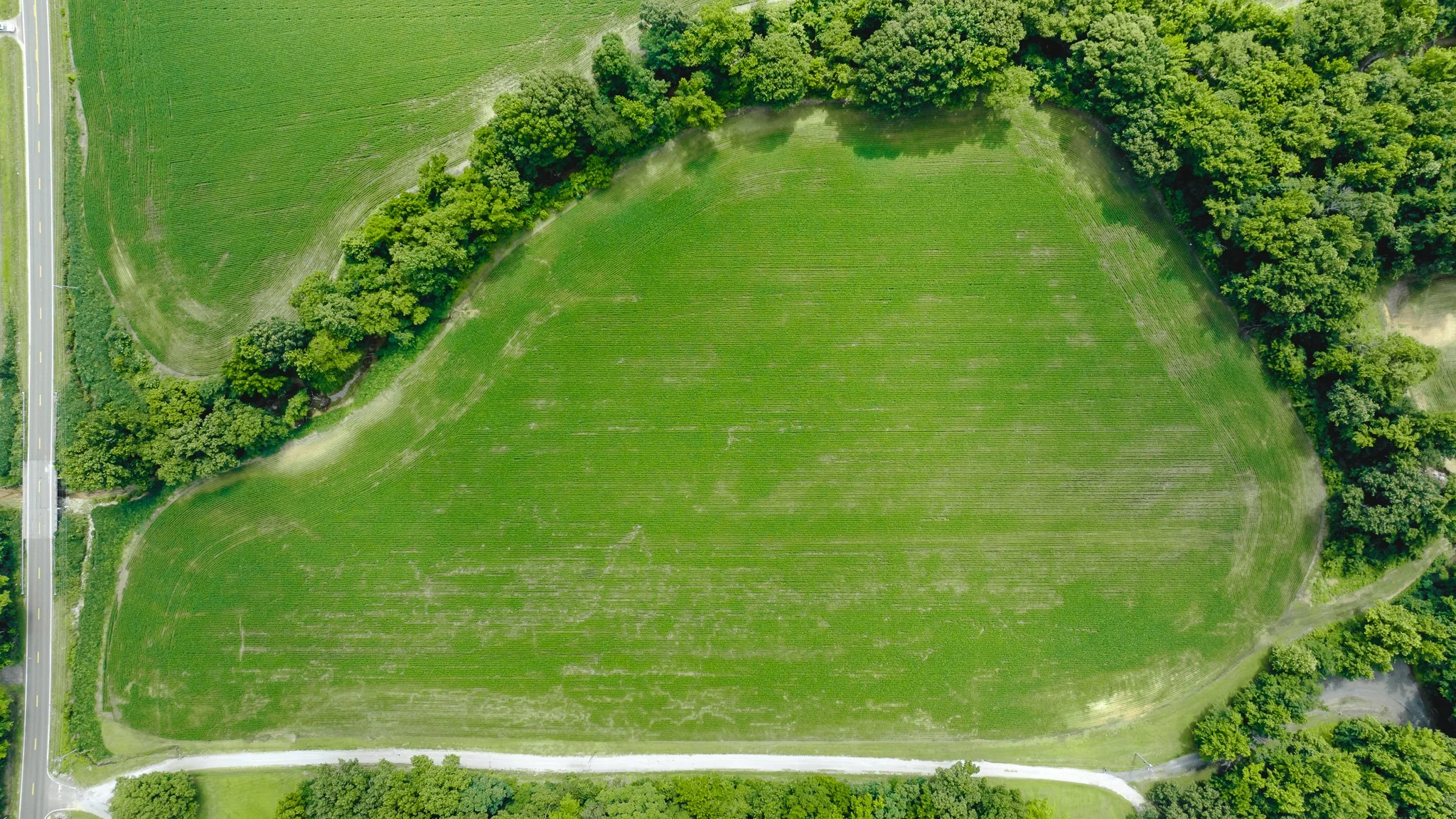 DJI_20260613180743_0017_D.jpg