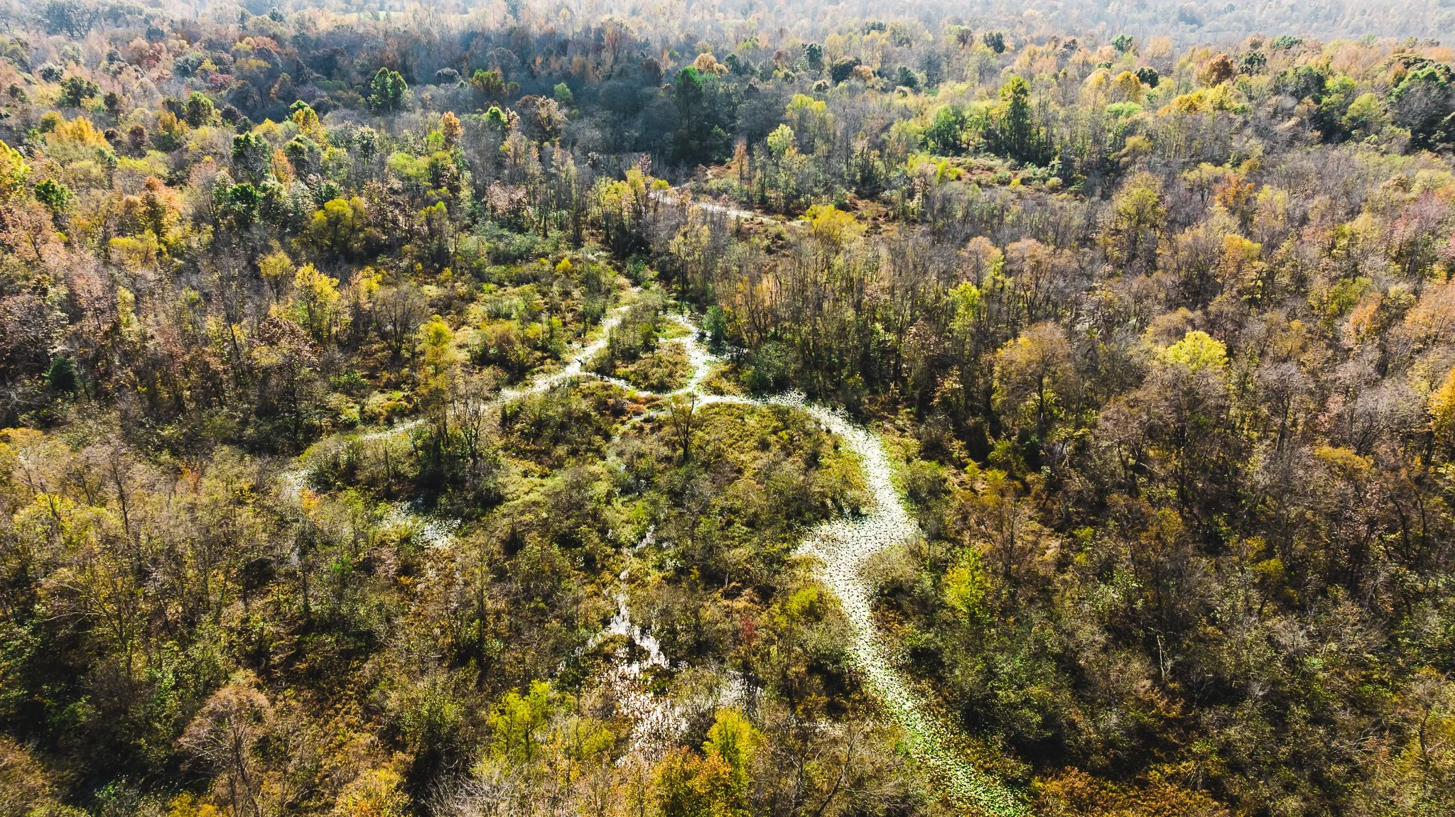 DJI_20241029115144_0014_D.jpg