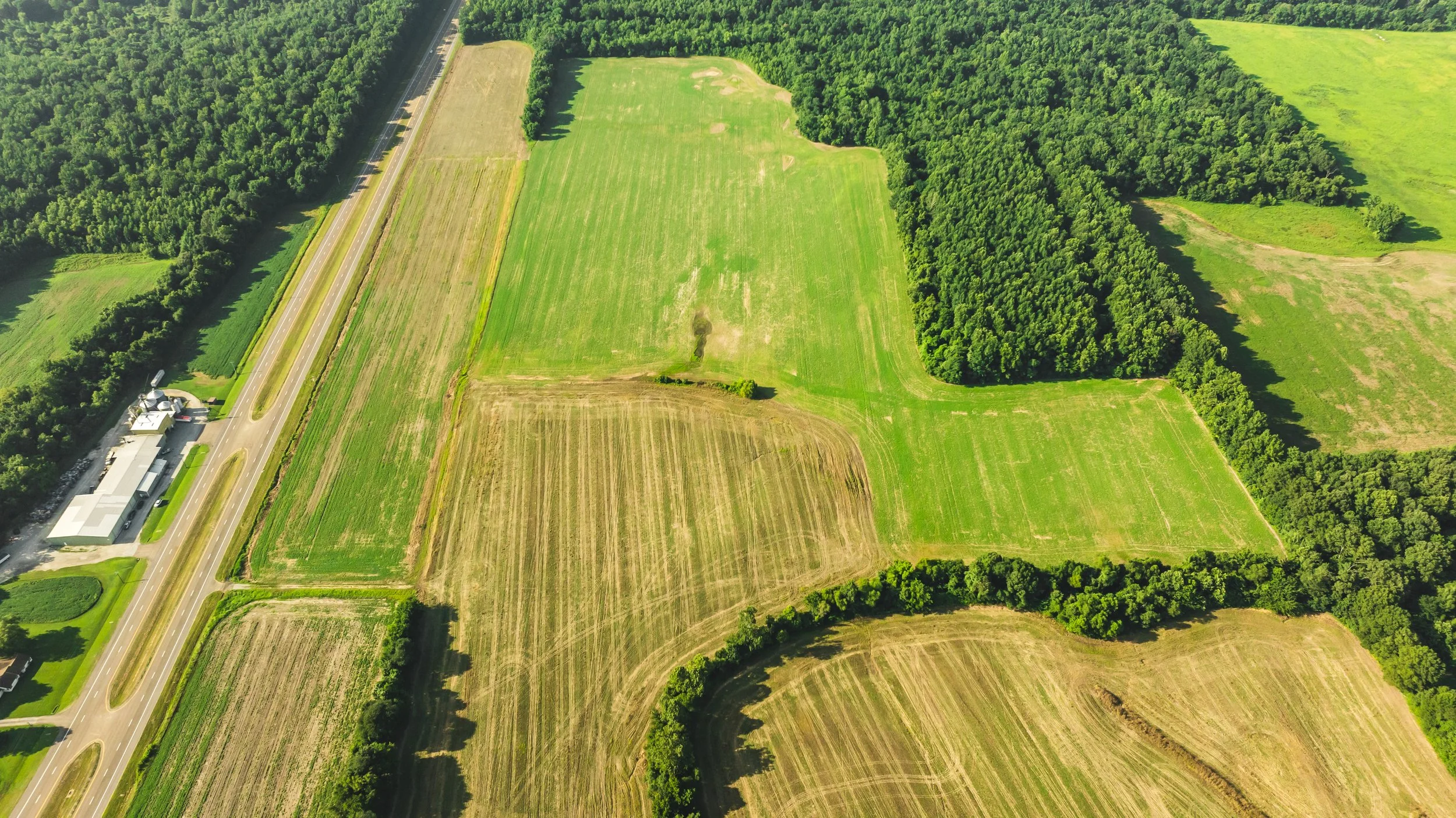 DJI_20250729084146_0004_D.jpg