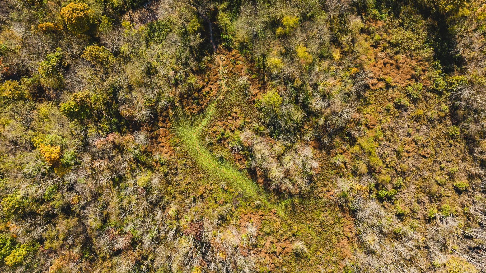 DJI_20241029114356_0005_D.jpg