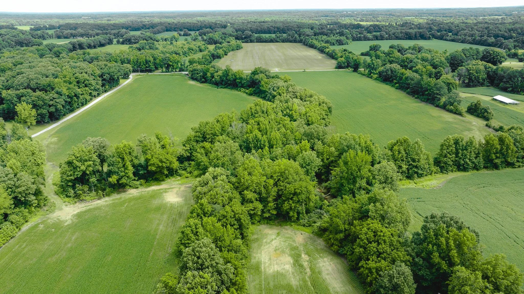 DJI_20260613181810_0039_D.jpg