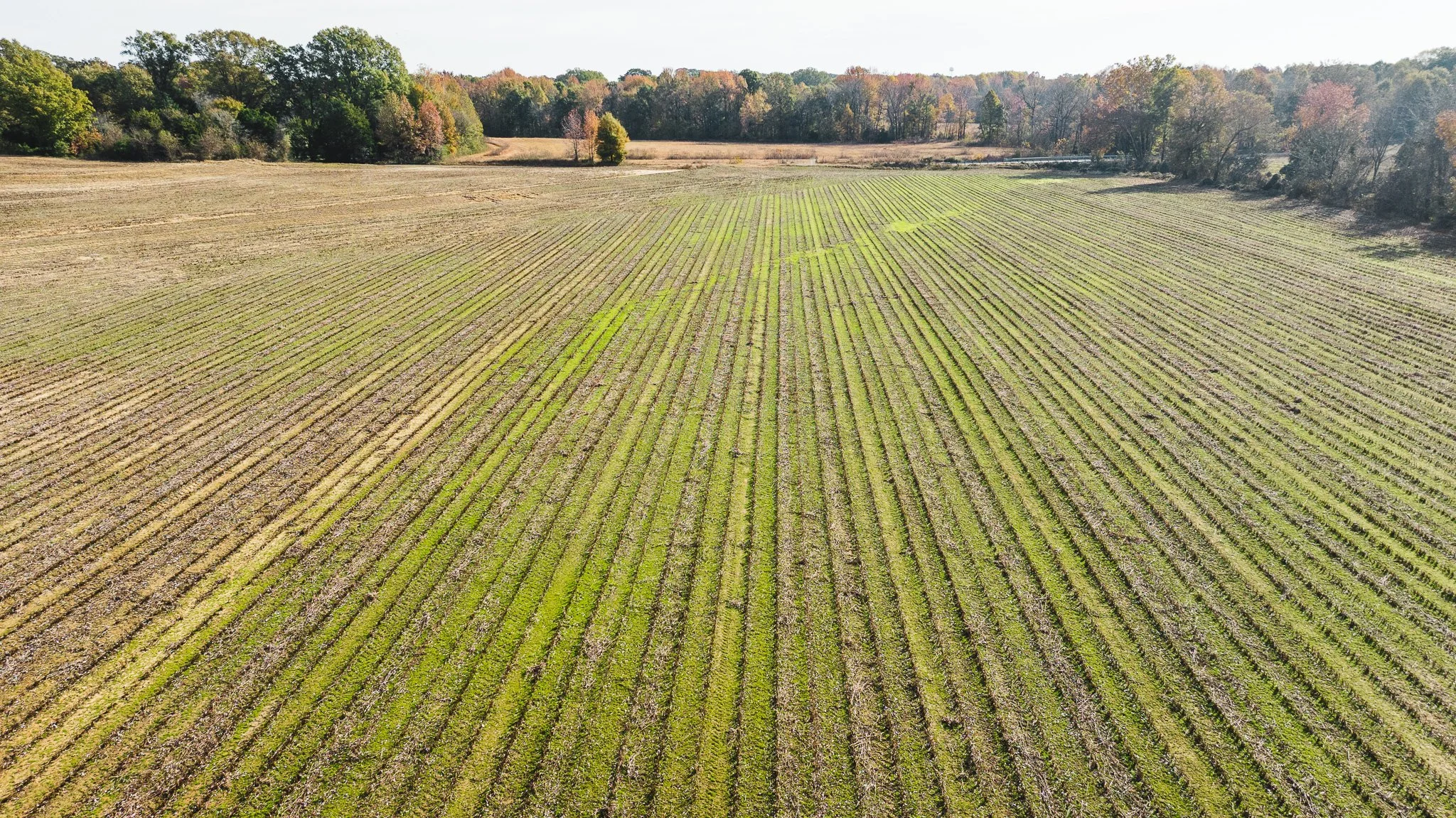 DJI_20251113100013_0018_D.jpg