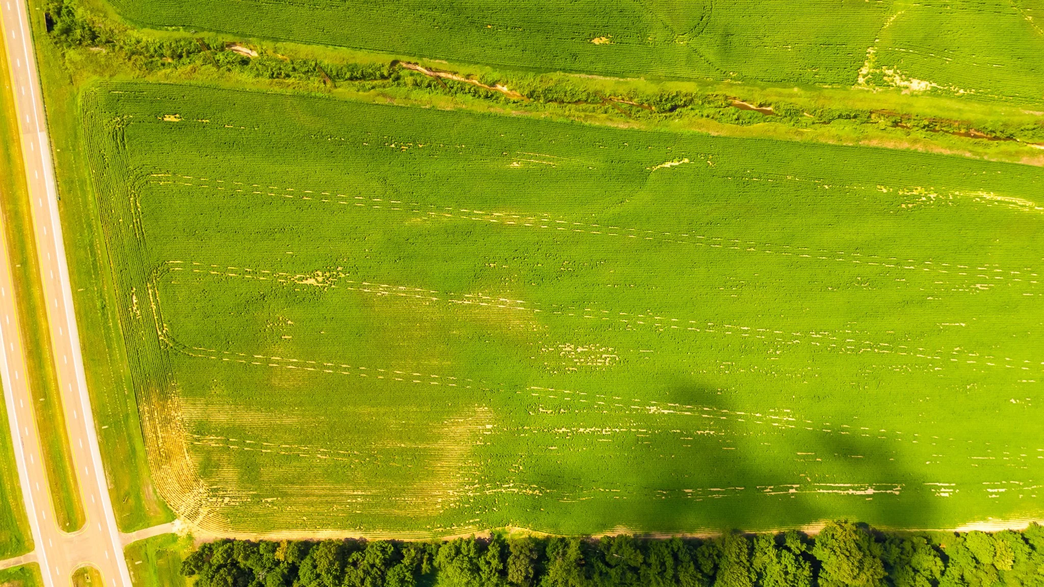 DJI_20250812092751_0031_D.jpg
