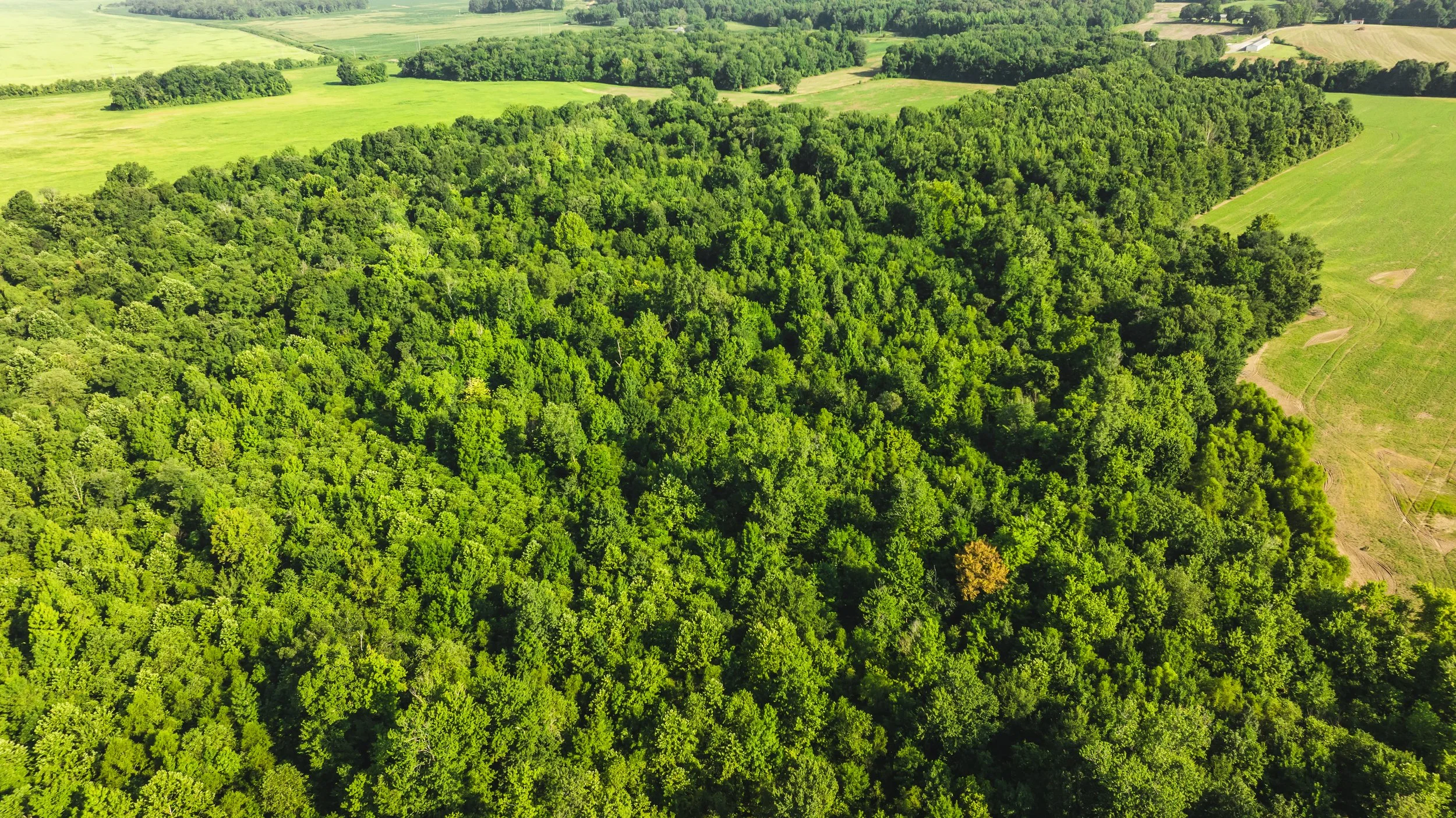 DJI_20250729084609_0009_D.jpg