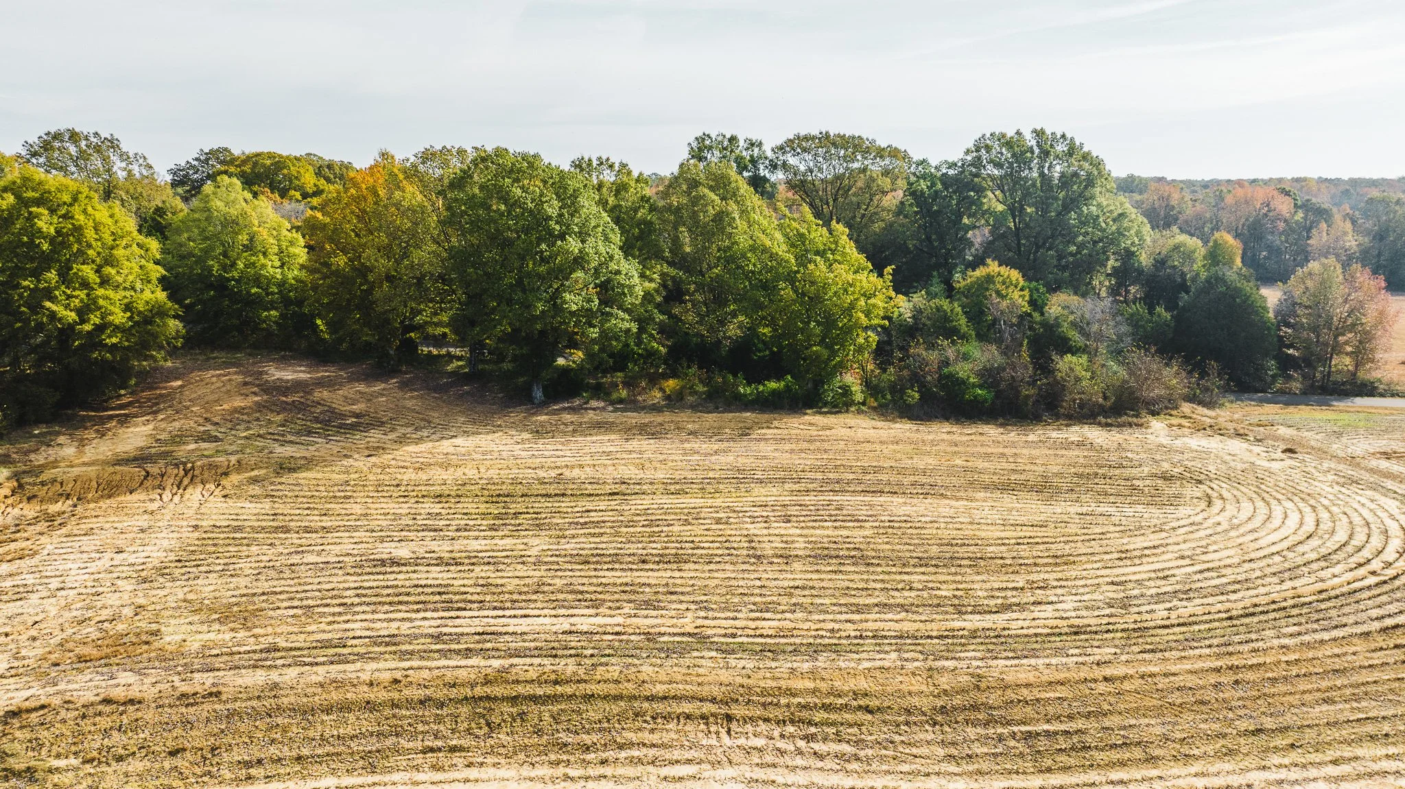 DJI_20251113100828_0024_D.jpg