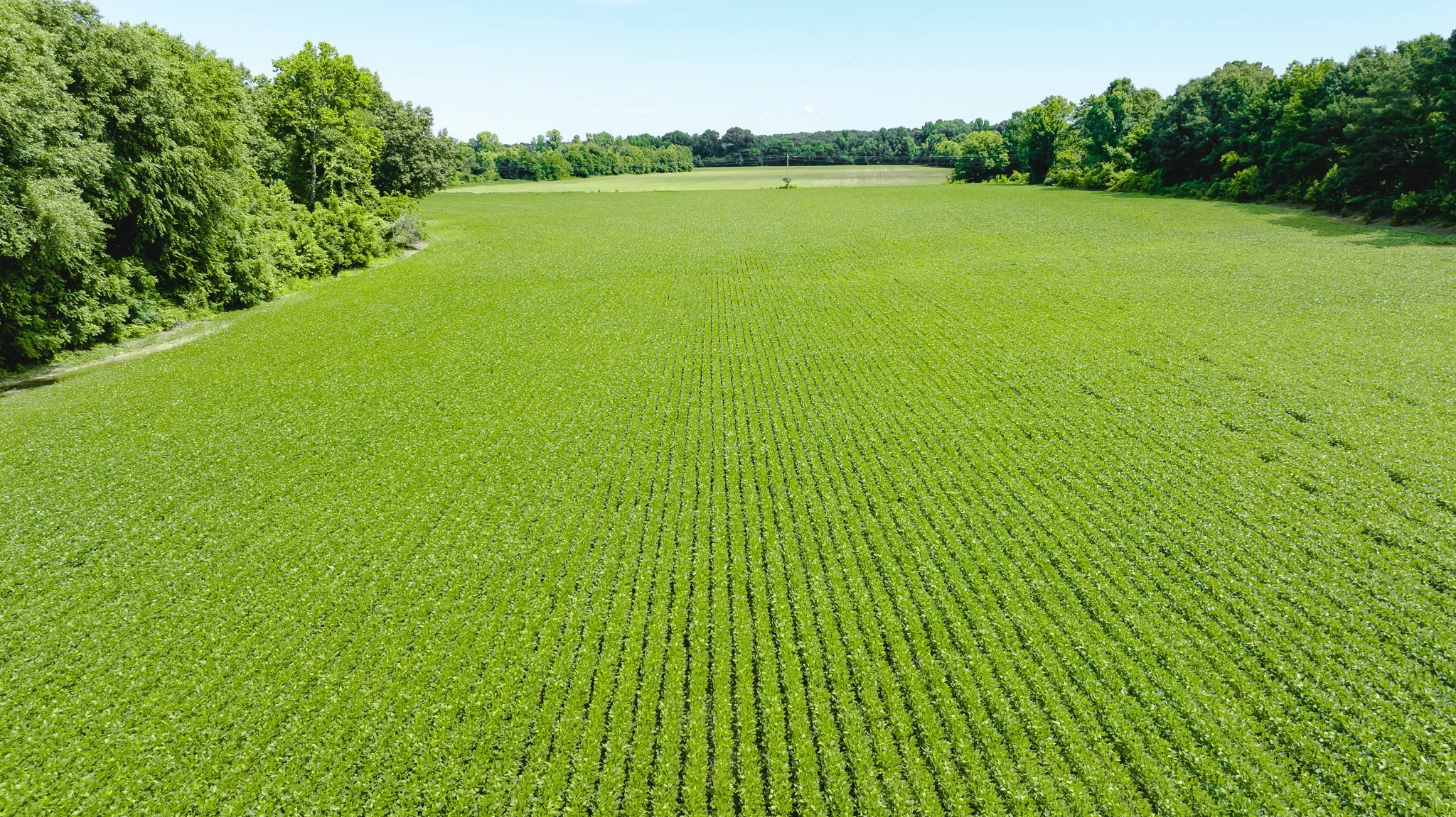 DJI_20260613180513_0011_D.jpg