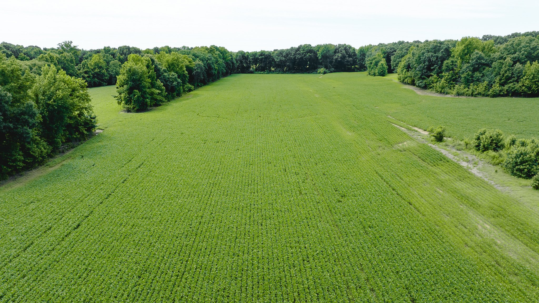 DJI_20260613181307_0024_D.jpg