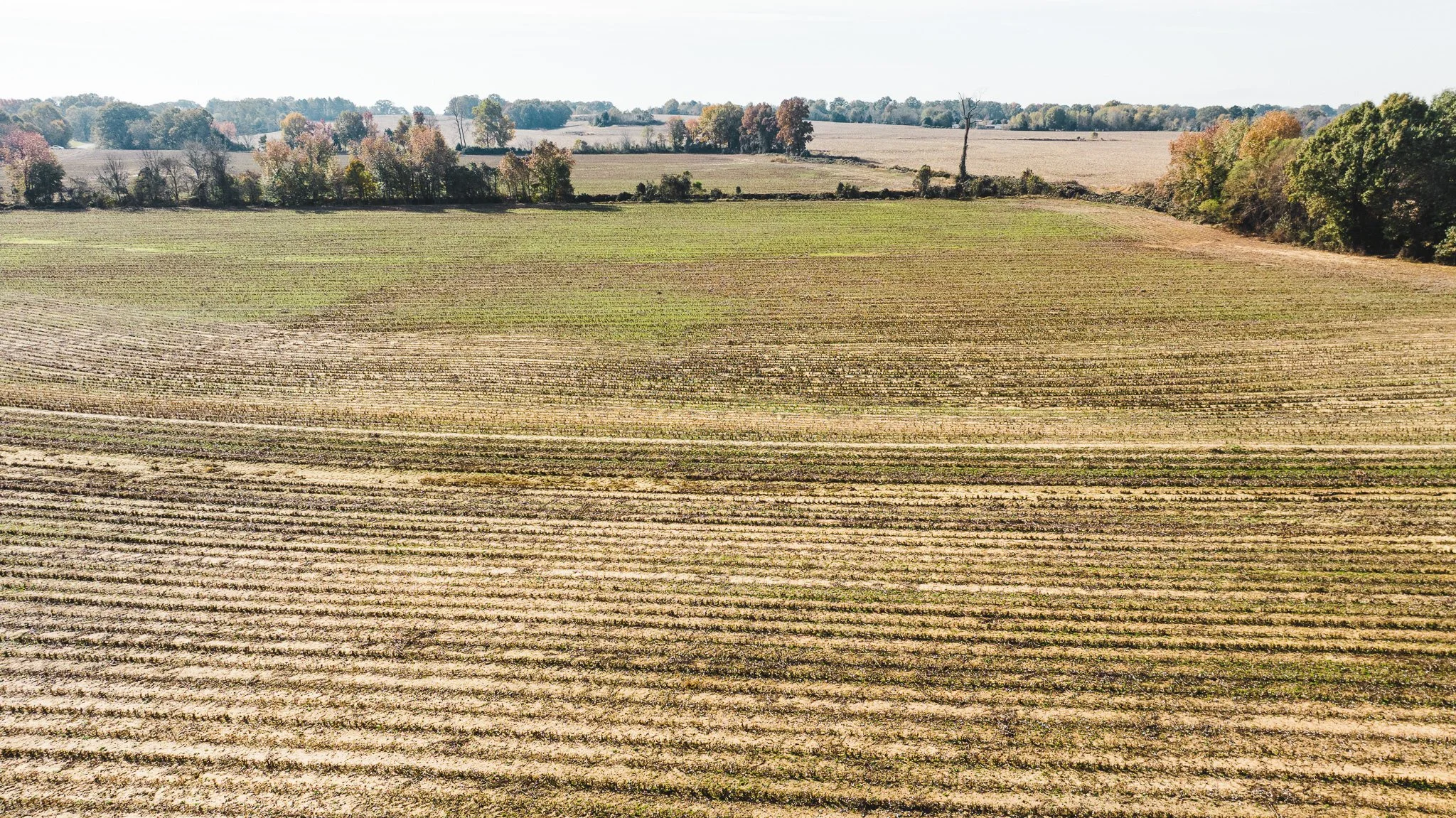 DJI_20251113095951_0017_D.jpg