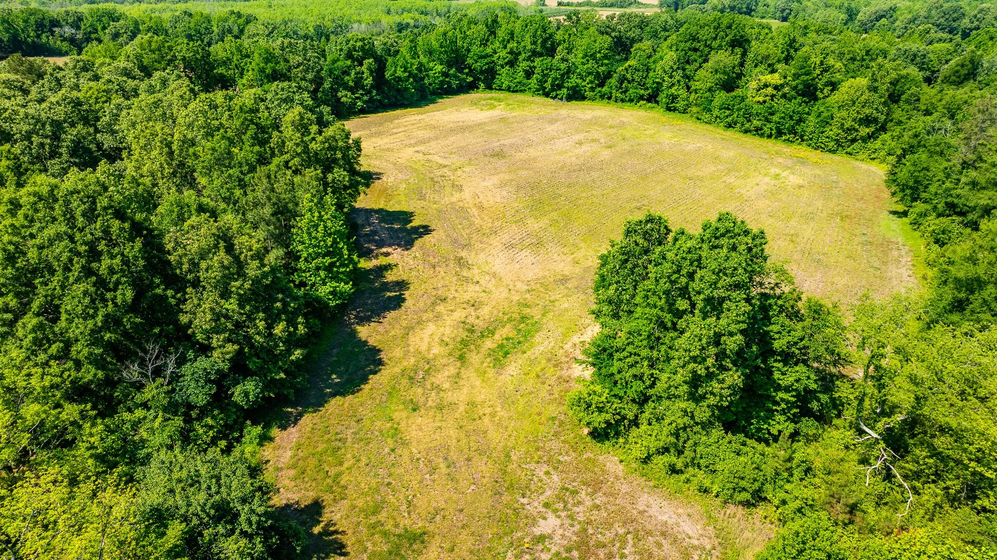 dji_fly_20260502_174726_0015_1777918953674_photo.jpg