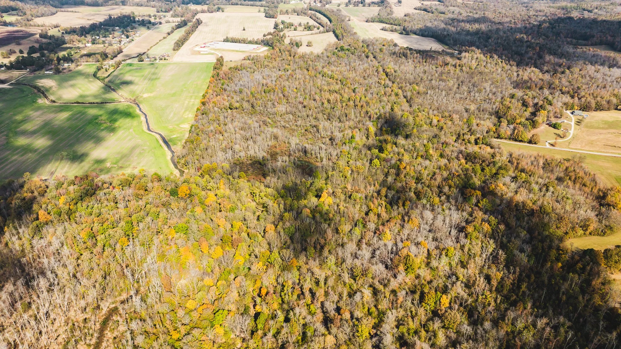 DJI_20241029114628_0007_D.jpg