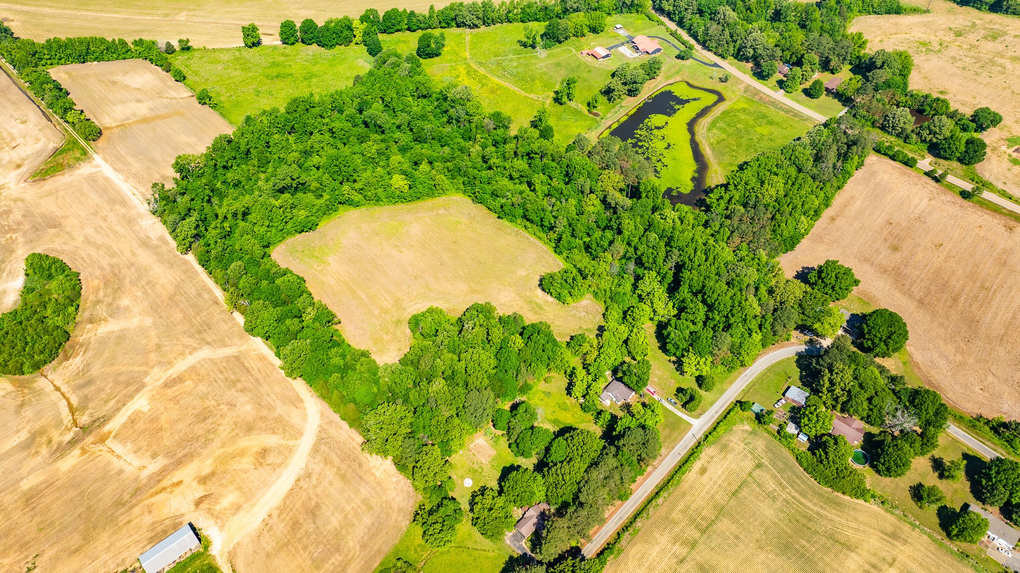 dji_fly_20260502_174434_0010_1777918955555_photo.jpg