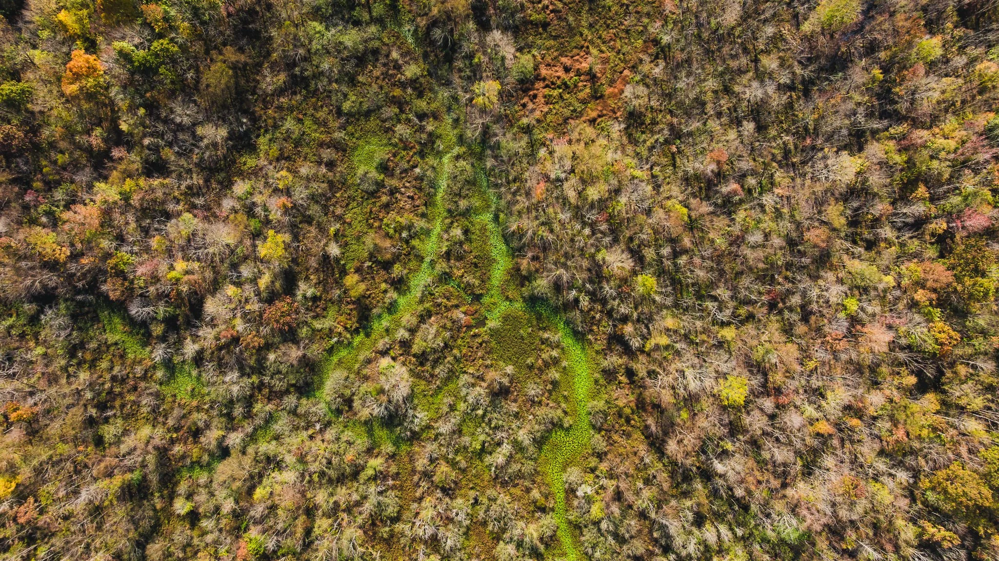 DJI_20241029114315_0004_D.jpg