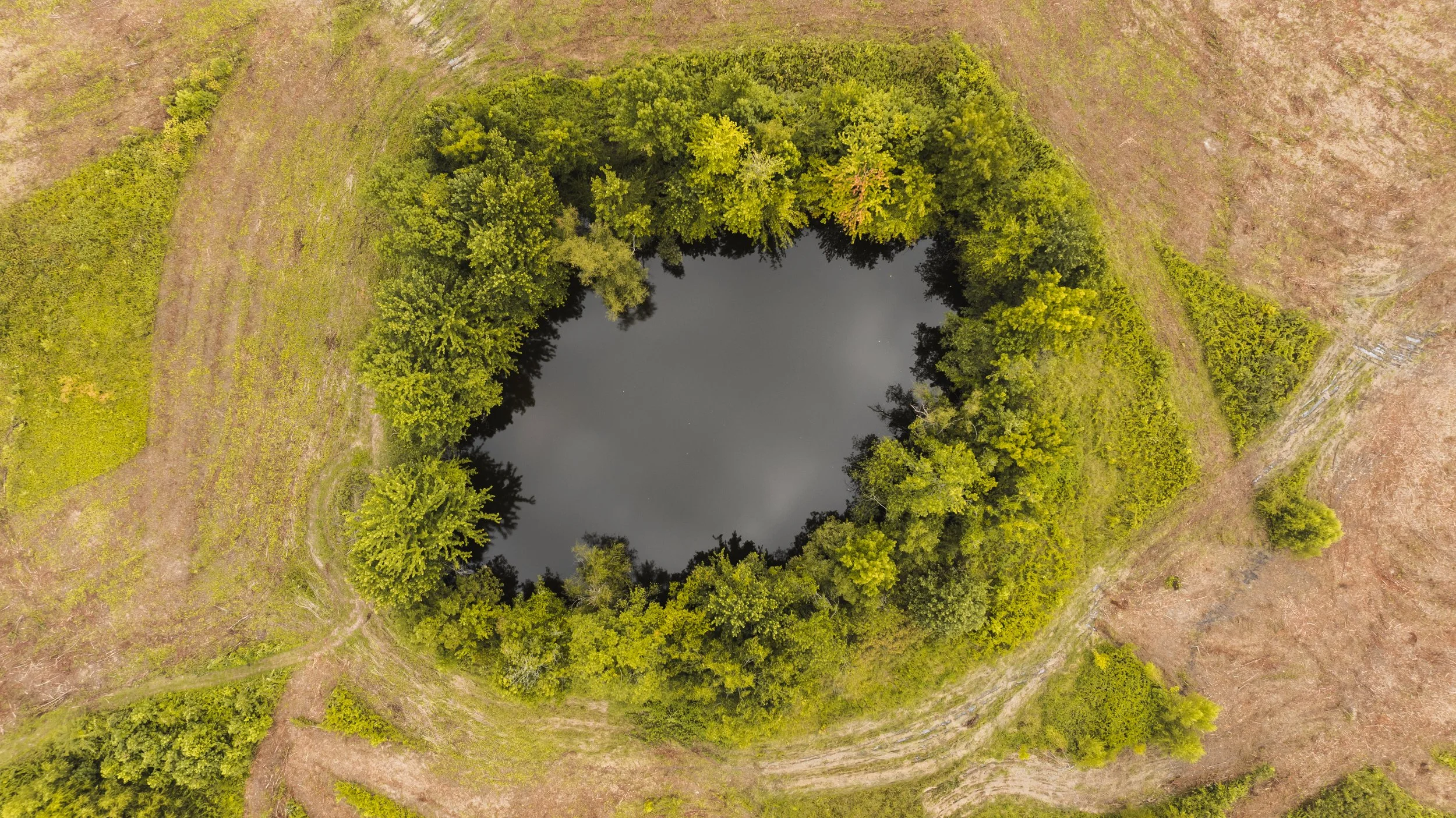 DJI_20240807110212_0021_D.jpg