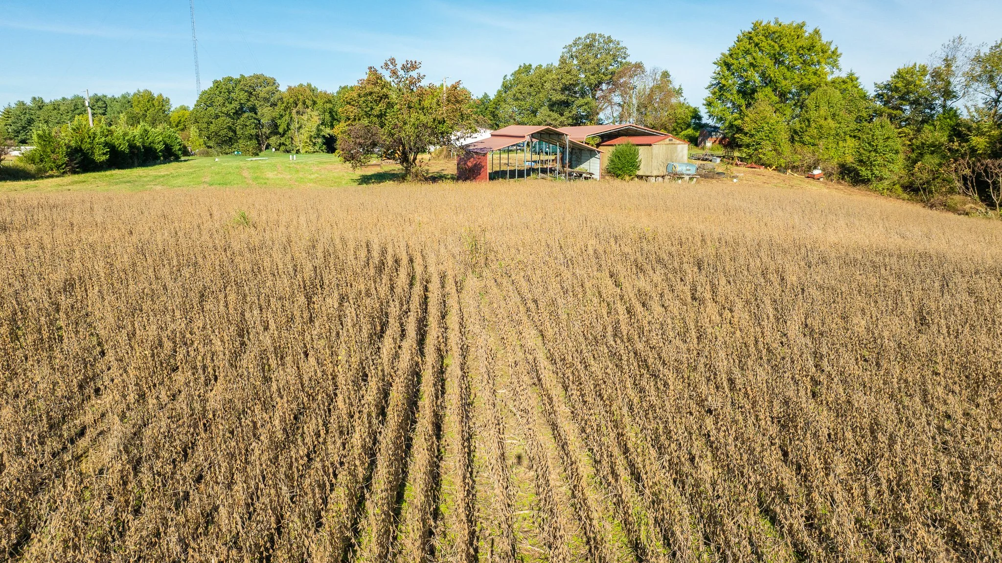 DJI_20251010091853_0008_D.jpg