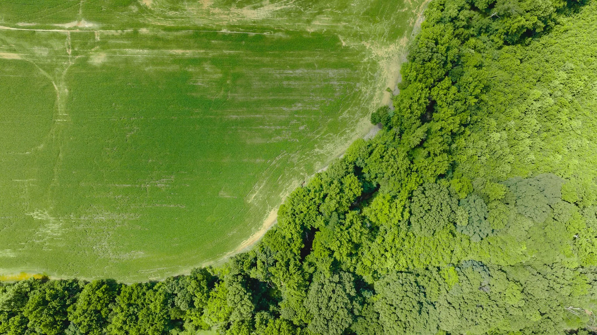 DJI_20260613180956_0023_D.jpg