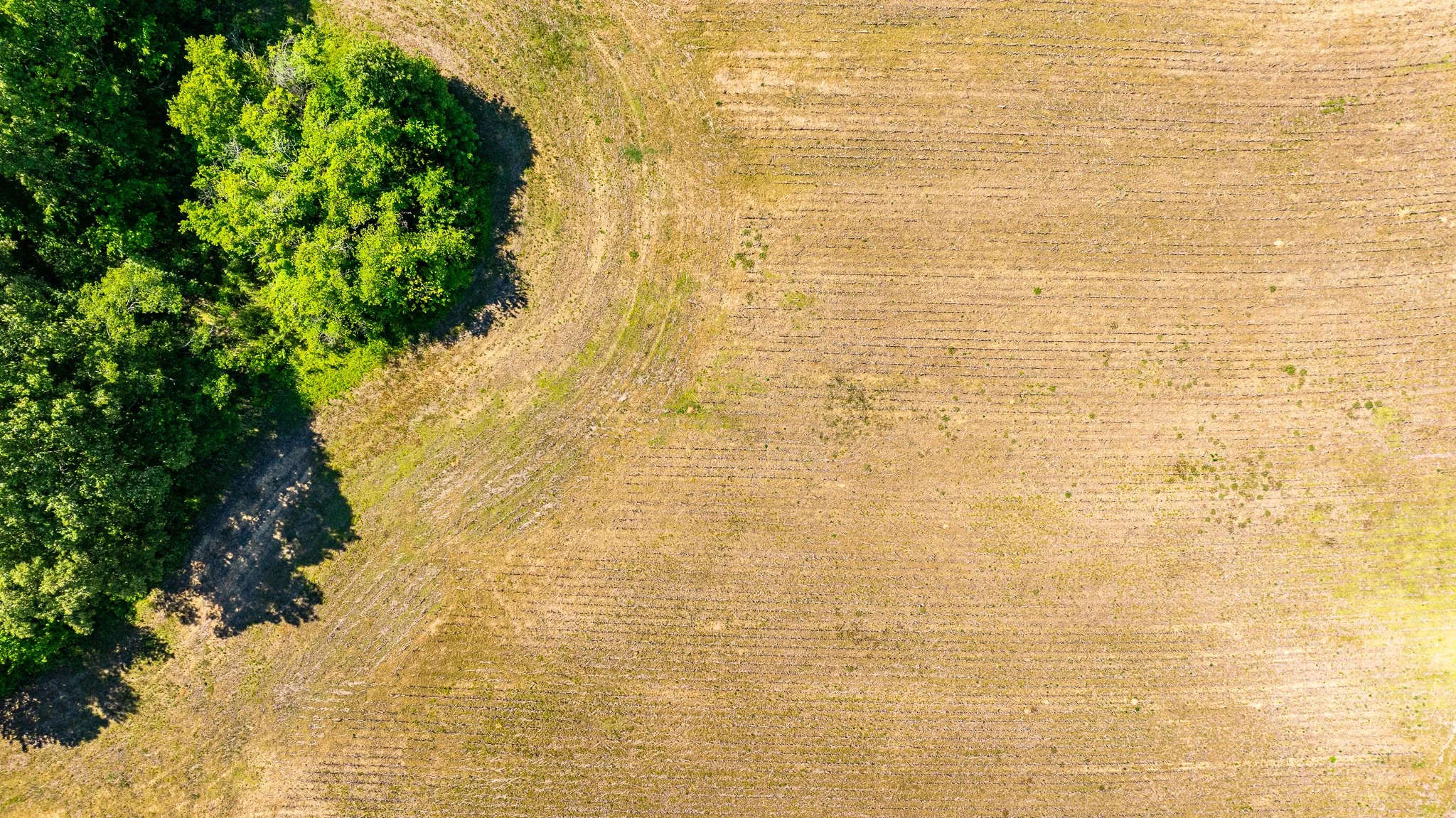 dji_fly_20260502_174624_0013_1777918954501_photo.jpg