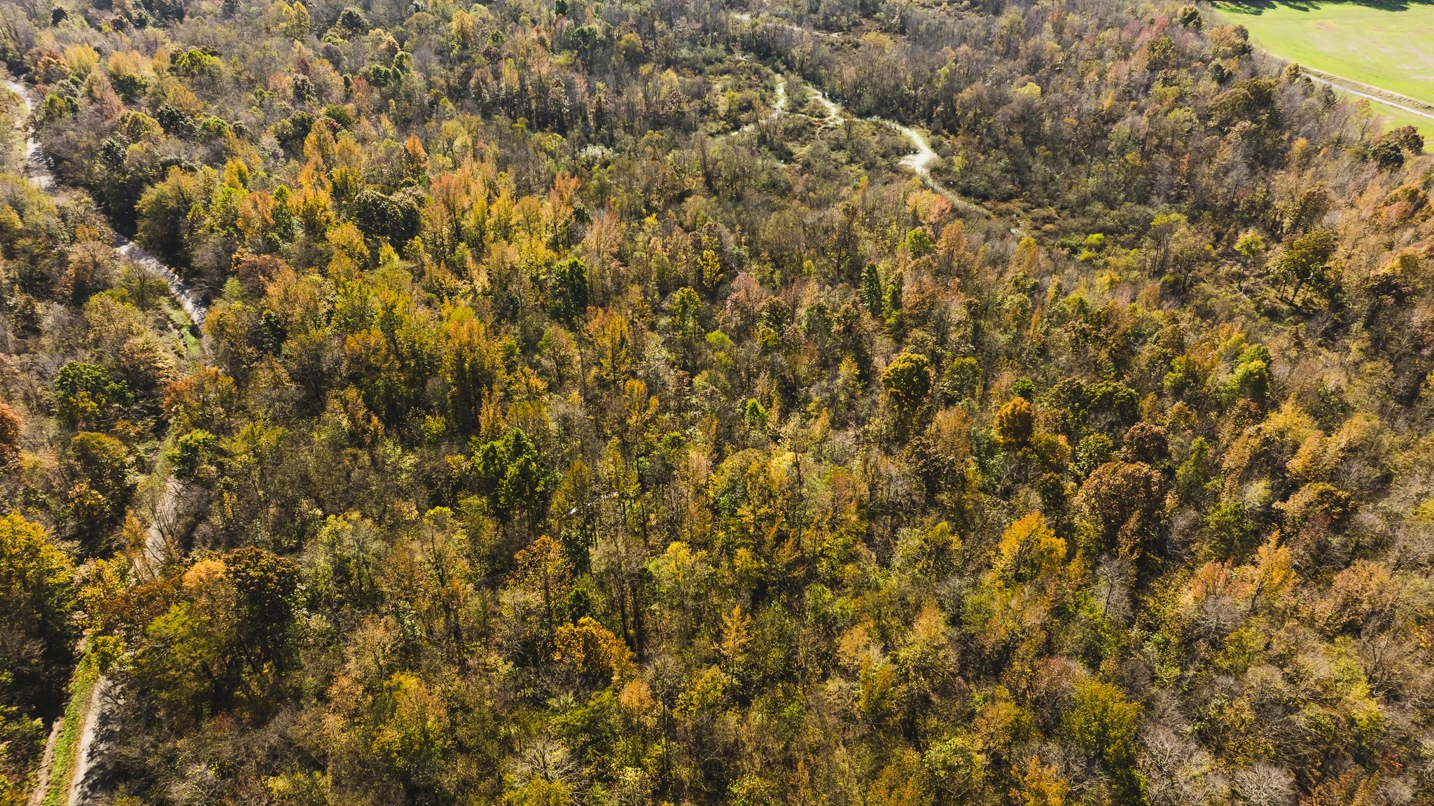 DJI_20241029115456_0019_D.jpg