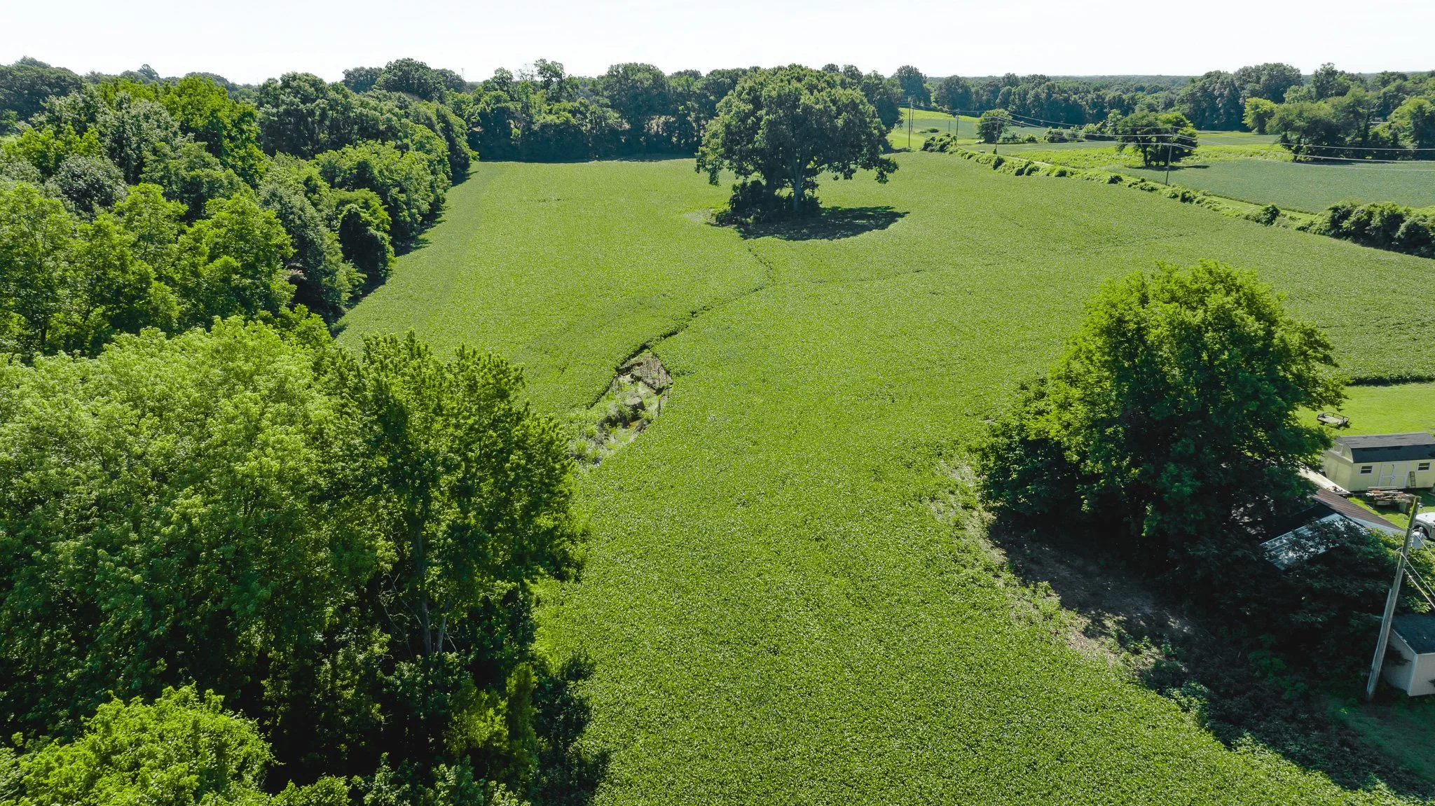 DJI_20260614170319_0014_D.jpg