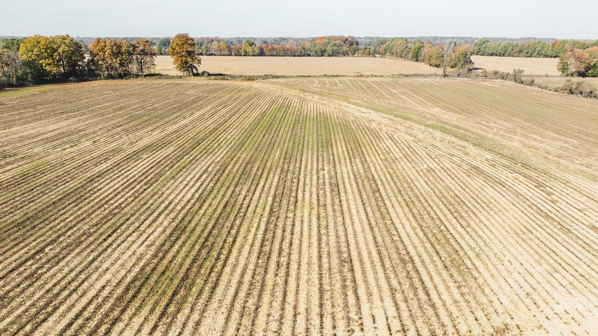 DJI_20251113095438_0005_D.jpg