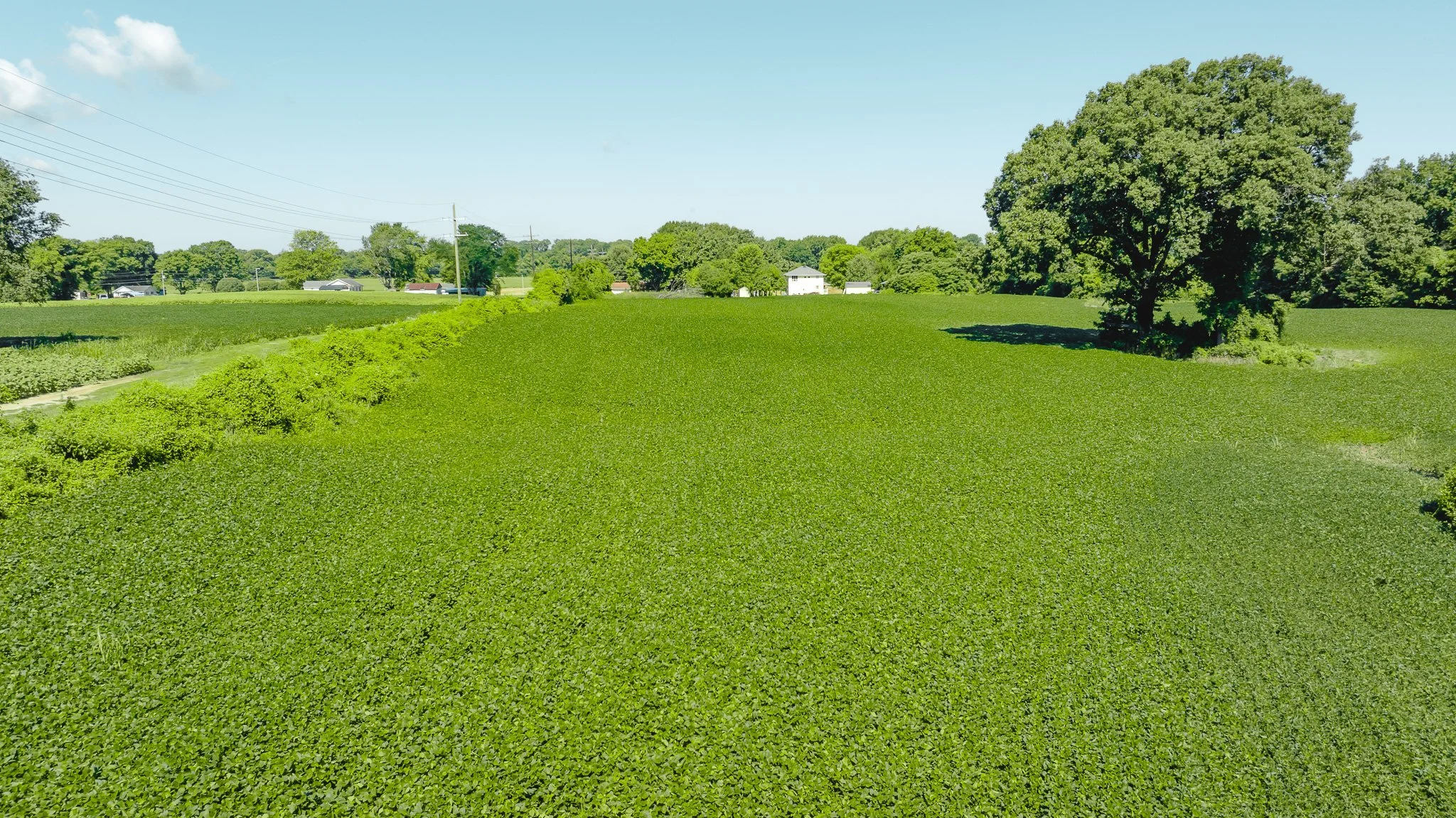 DJI_20260614170141_0009_D.jpg
