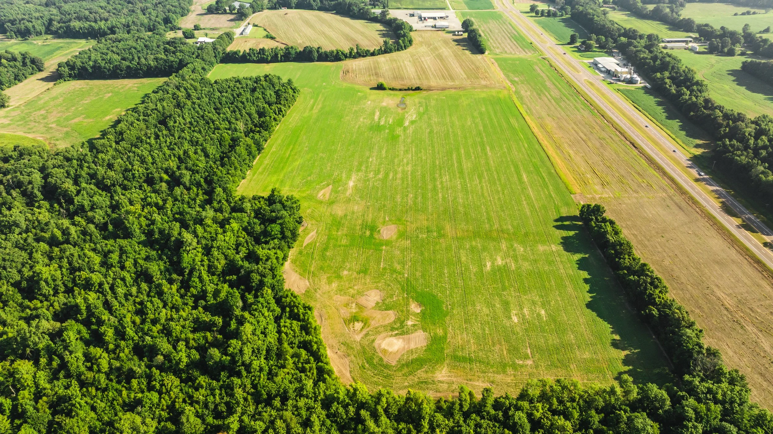 DJI_20250729084544_0008_D.jpg