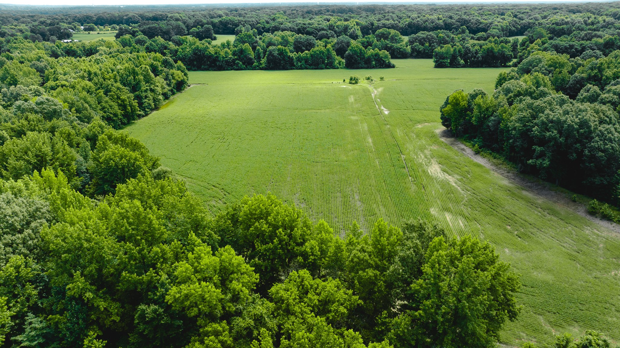 DJI_20260613181716_0037_D.jpg