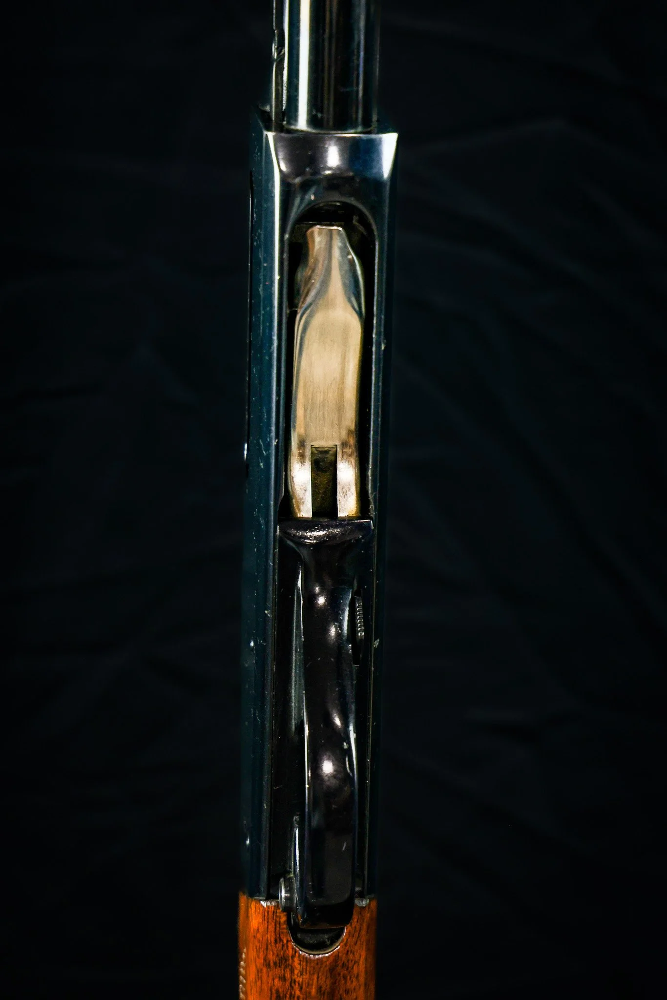 0F7A8653.jpg