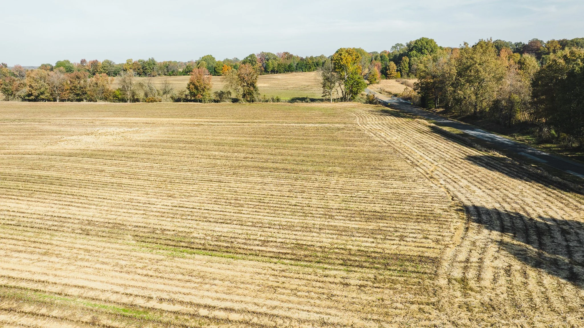 DJI_20251113095542_0009_D.jpg