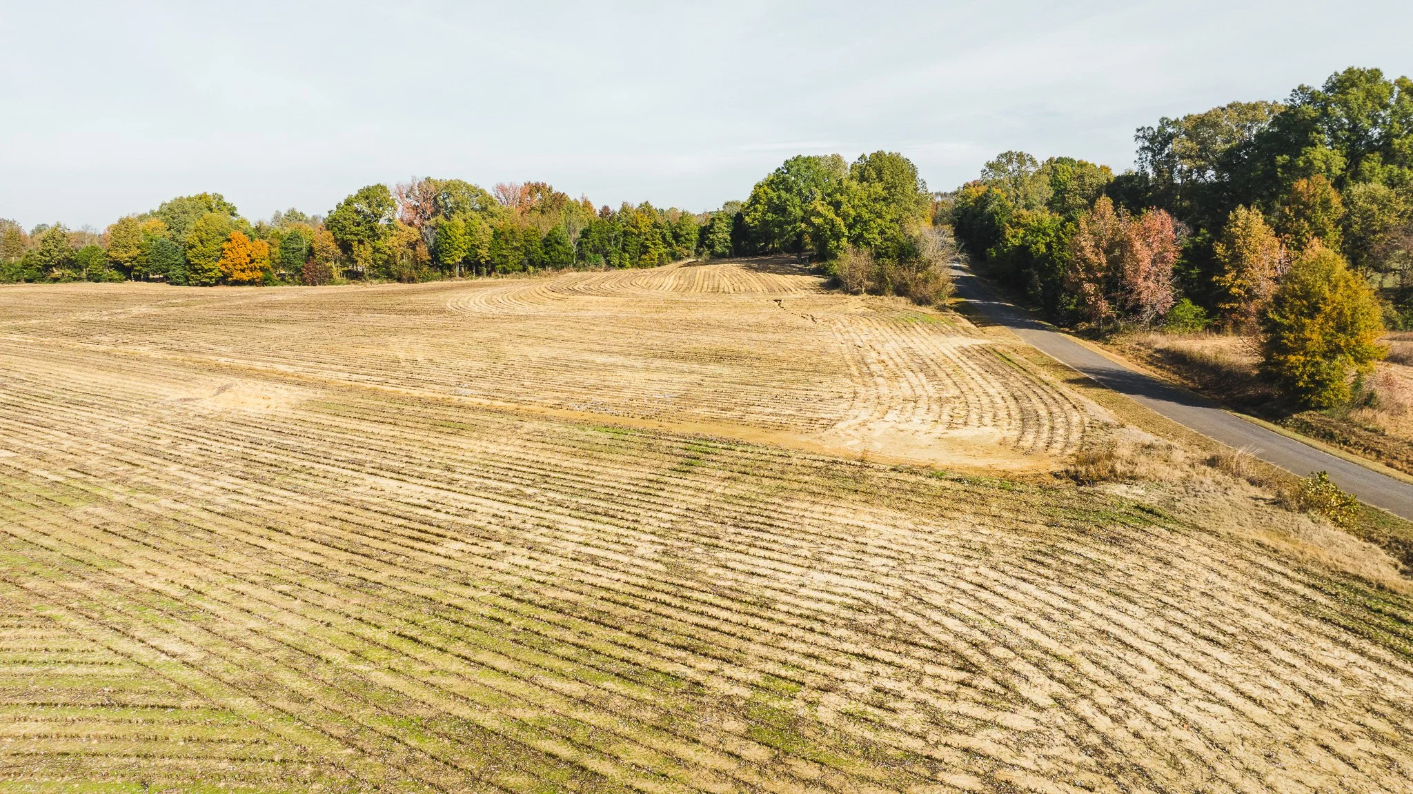DJI_20251113100039_0019_D.jpg