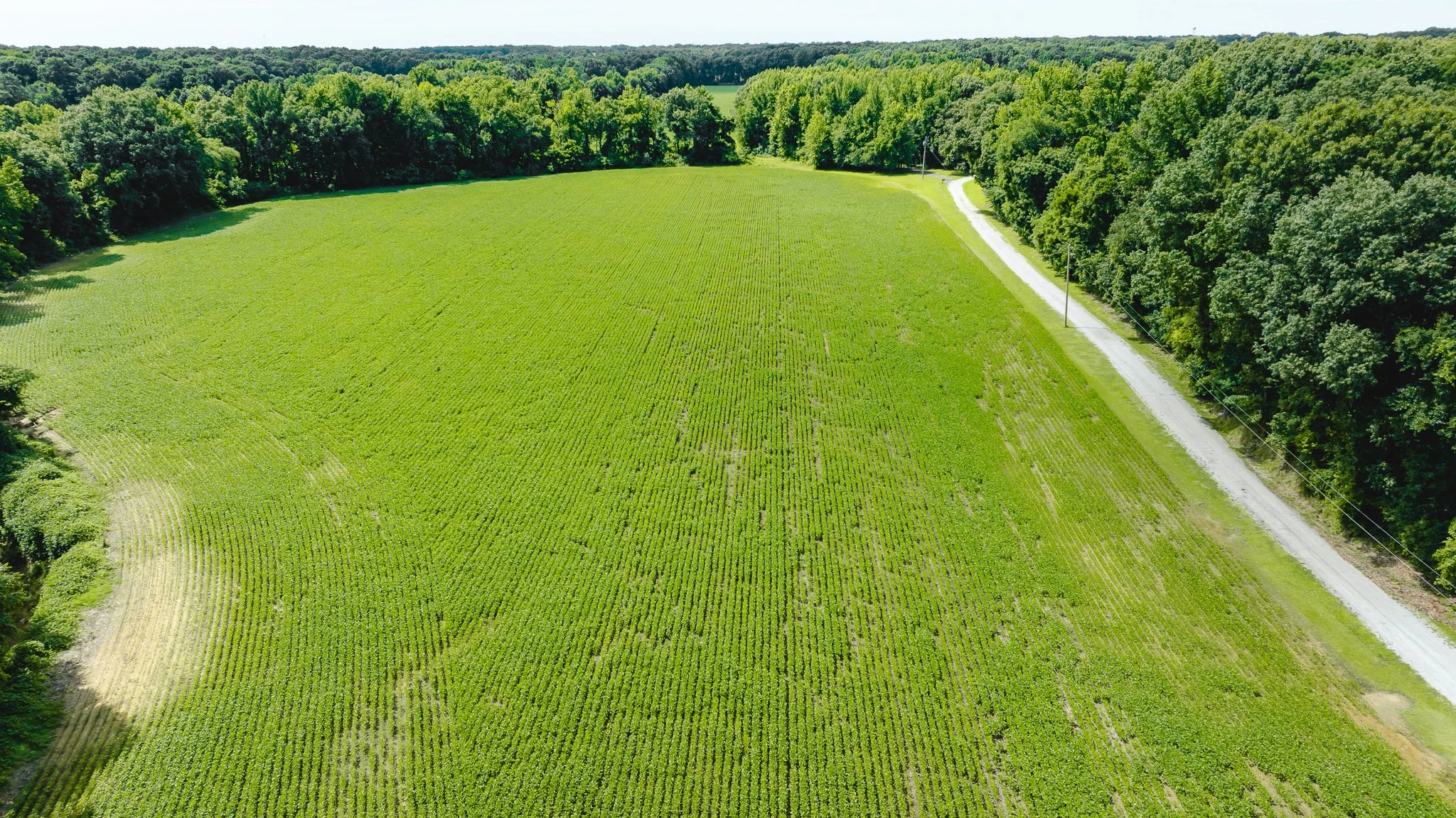 DJI_20260613180314_0005_D.jpg