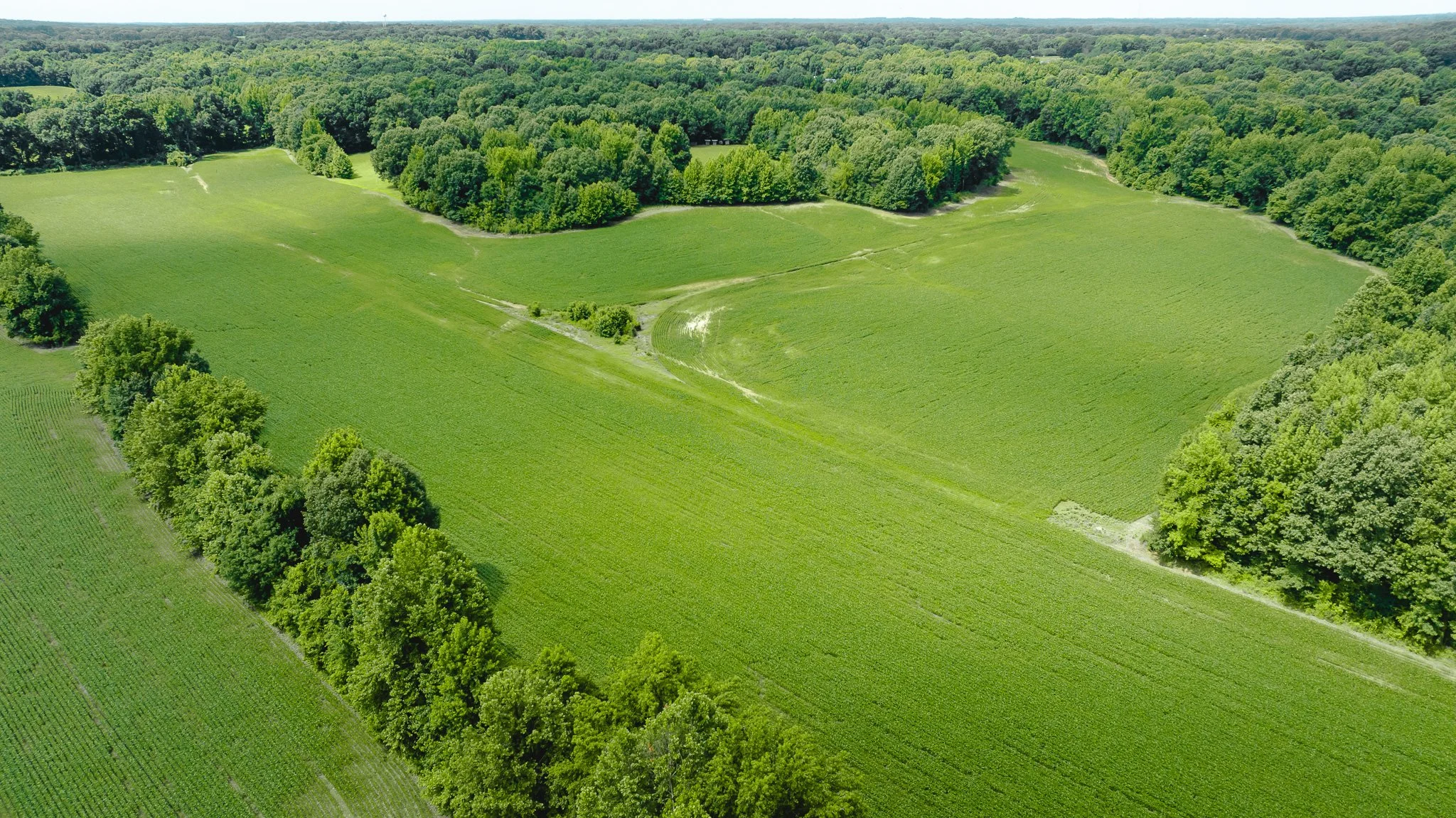 DJI_20260613180907_0021_D.jpg