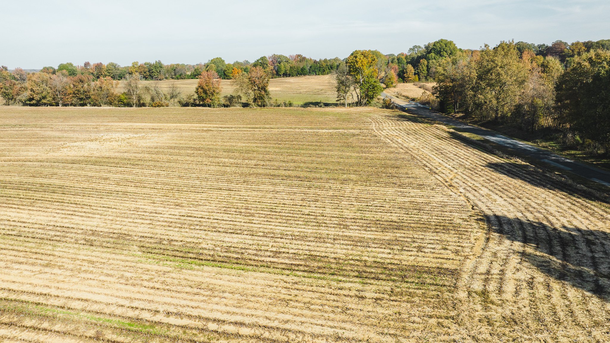 DJI_20251113095542_0009_D.jpg