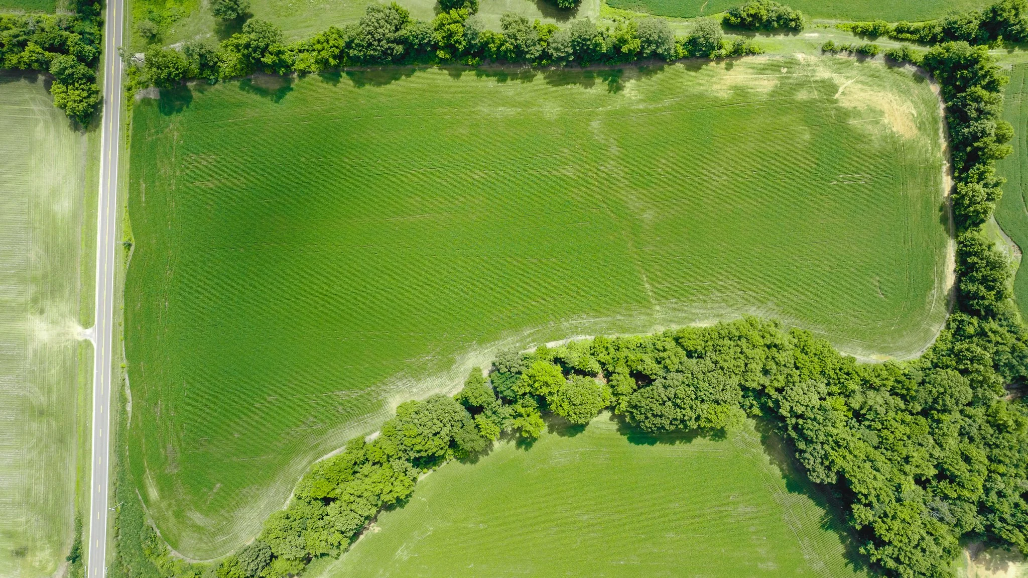 DJI_20260613180714_0016_D.jpg