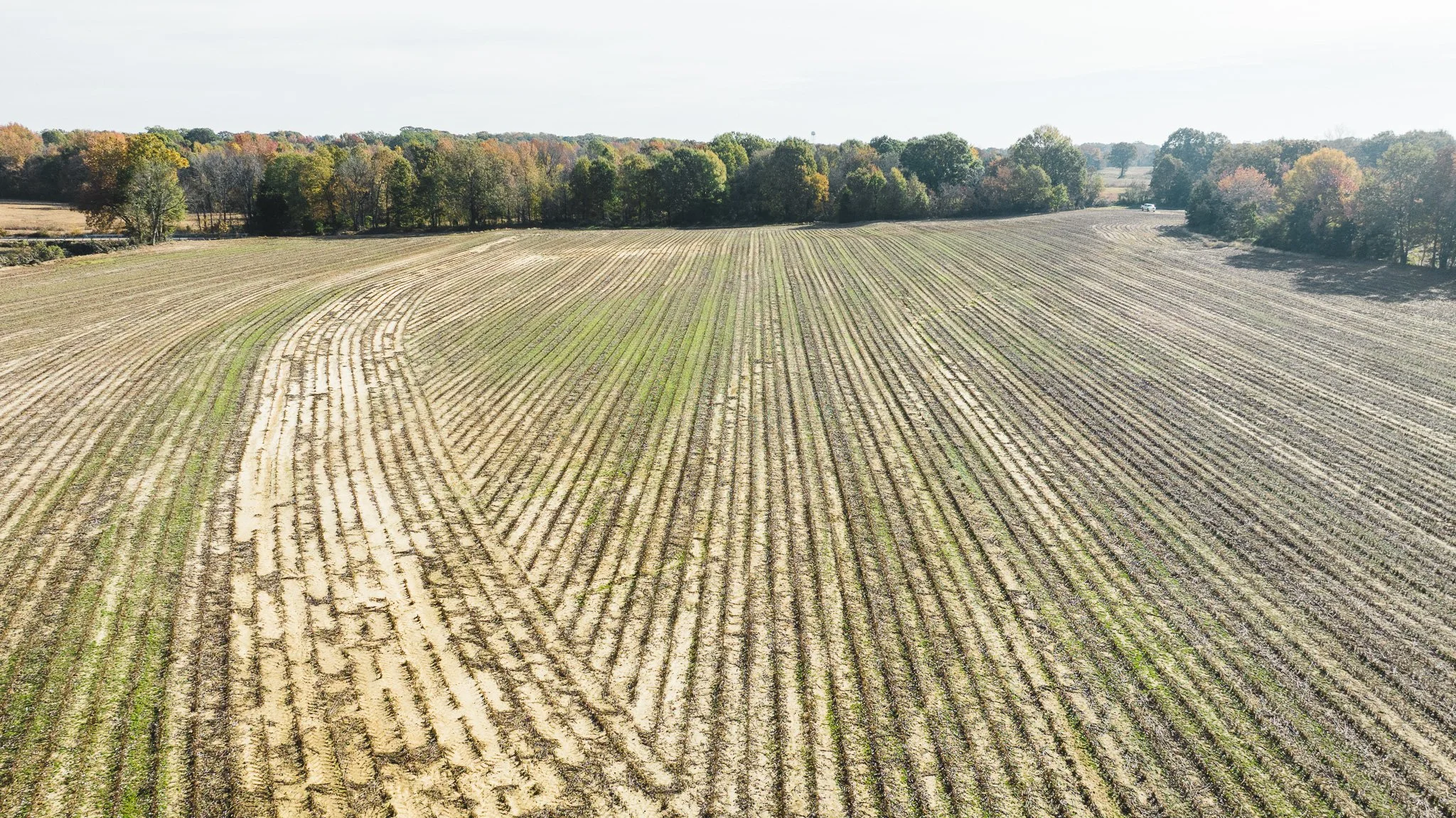 DJI_20251113095520_0008_D.jpg