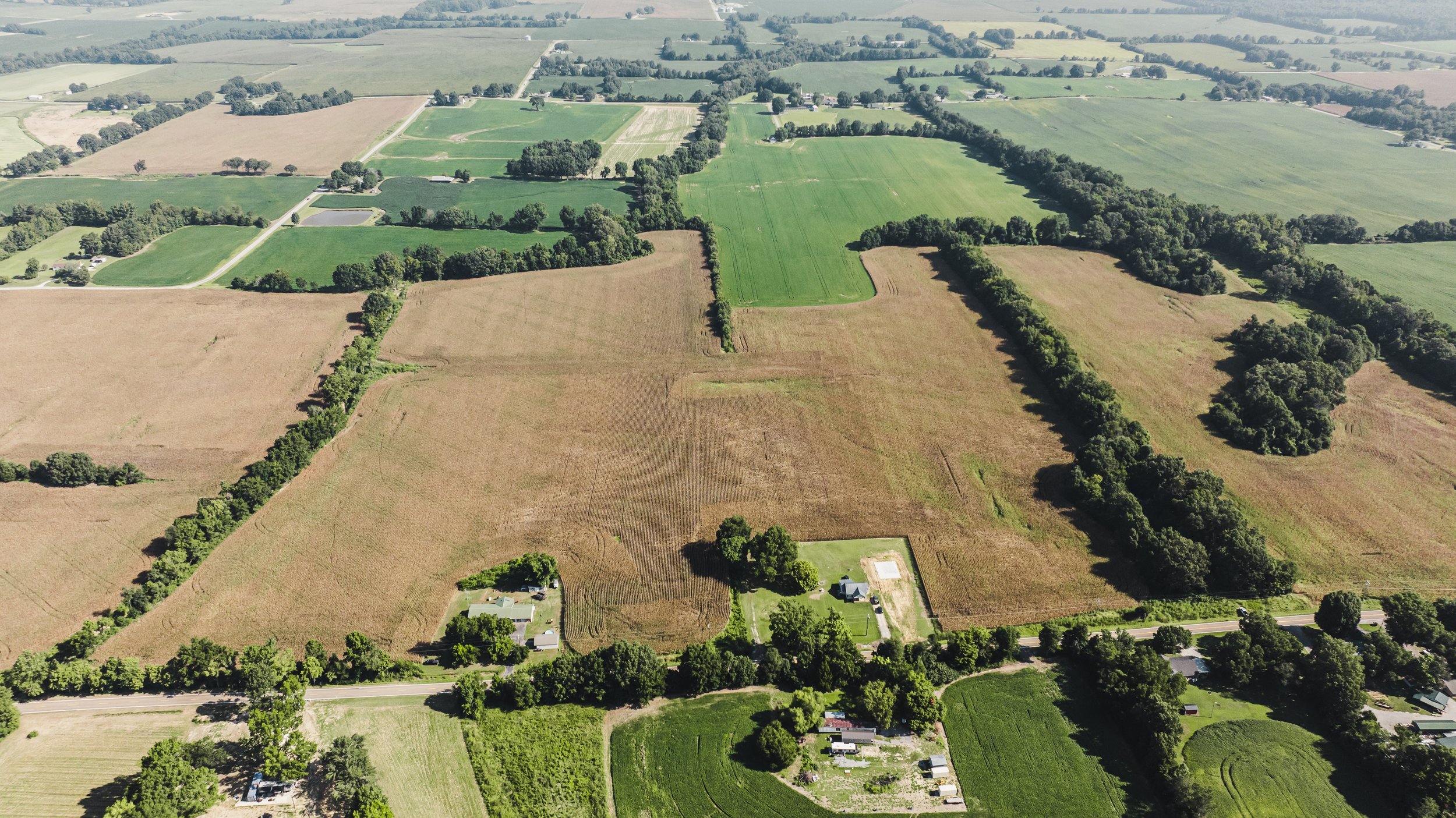 DJI_20240819092001_0032_D.jpg