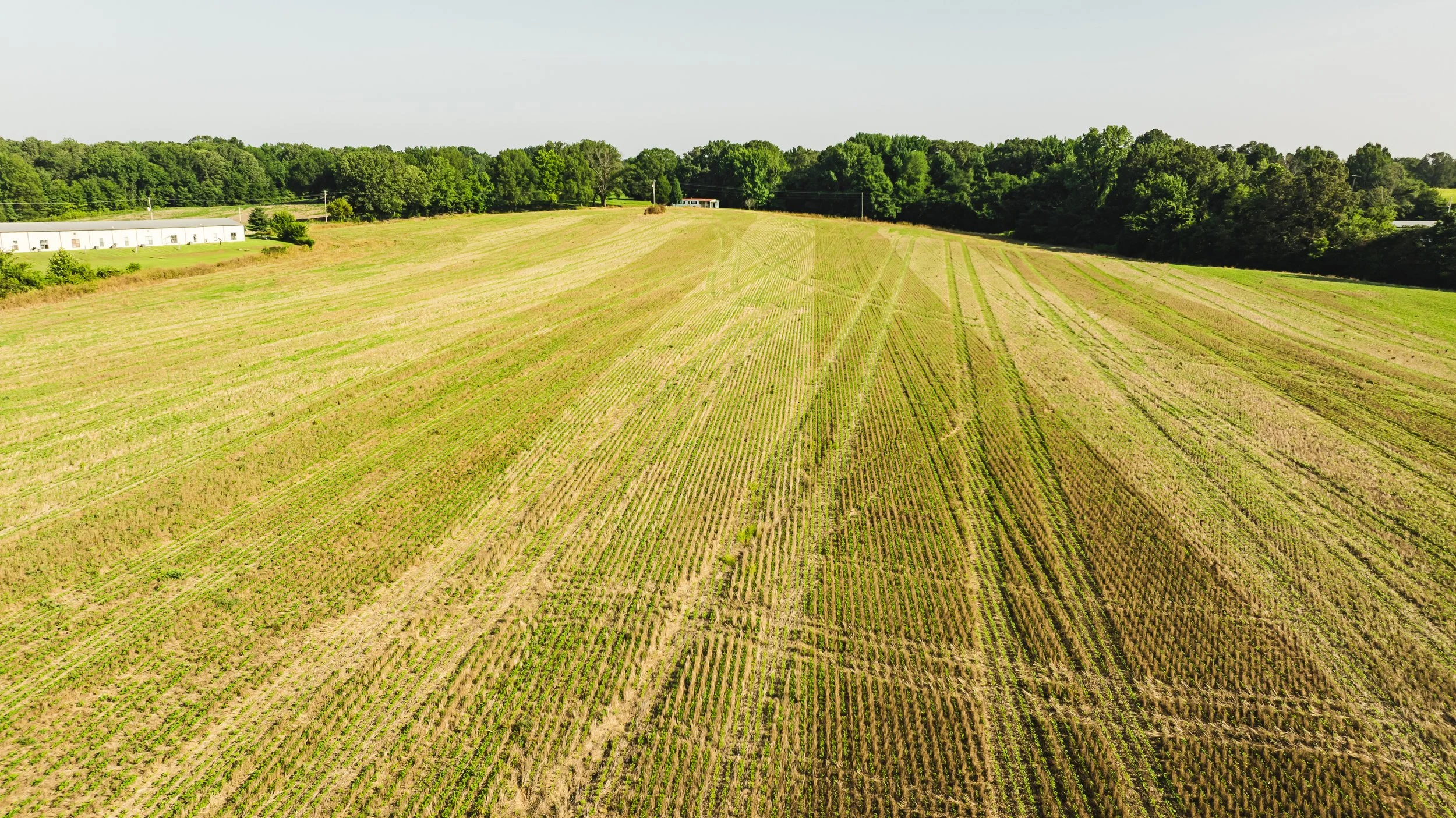DJI_20250729085310_0021_D.jpg
